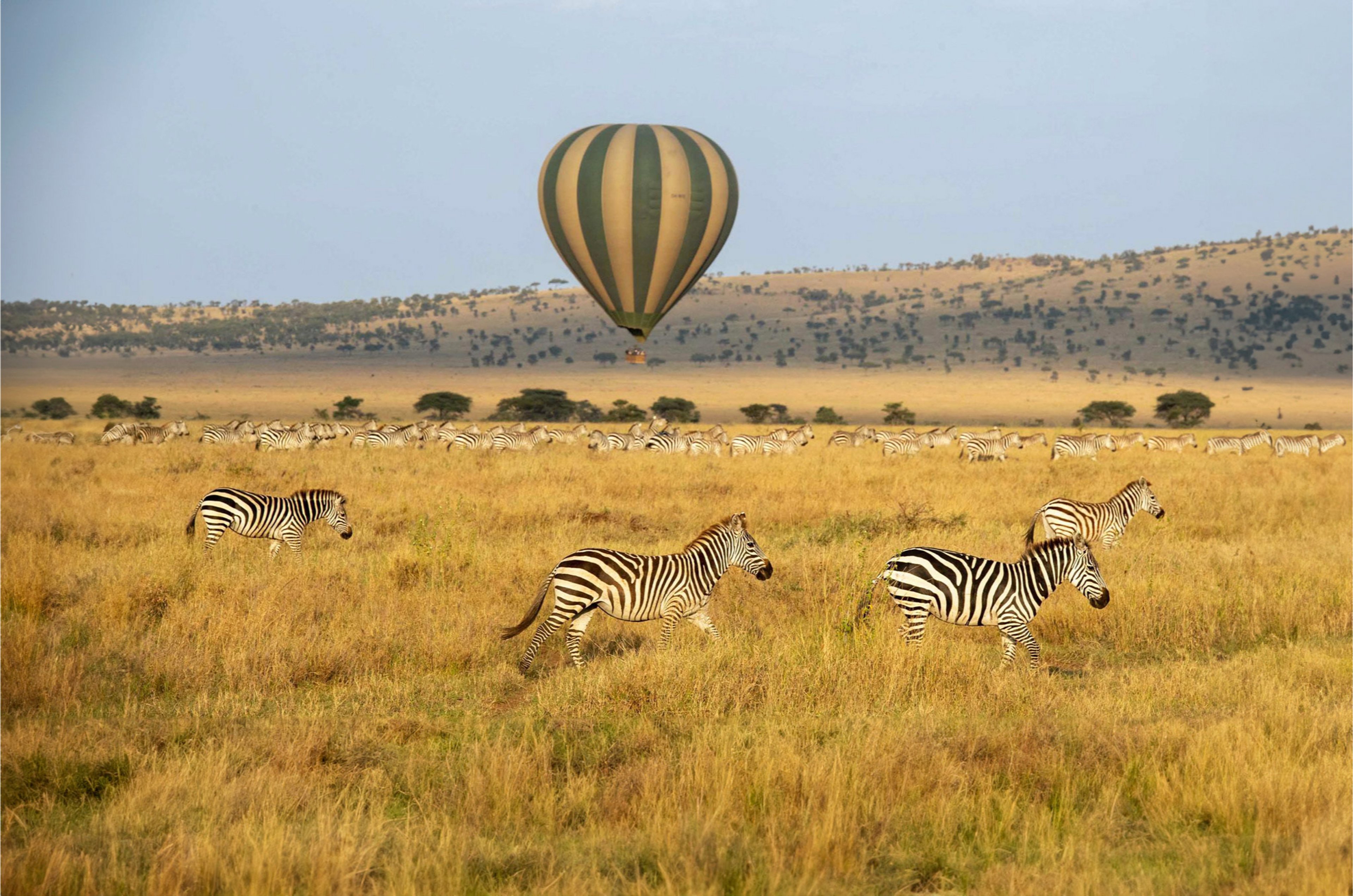 ROAR AFRICA Luxury Destination Hot Air Balloon Safari