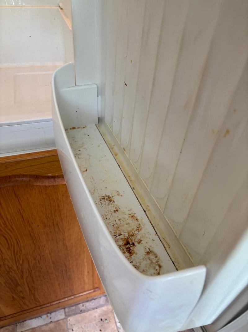 Cleaning result 11