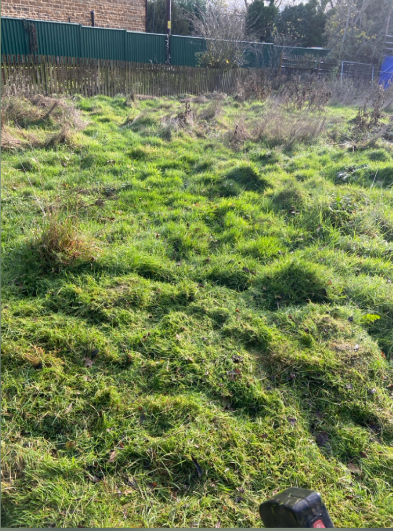 Garden work example 11