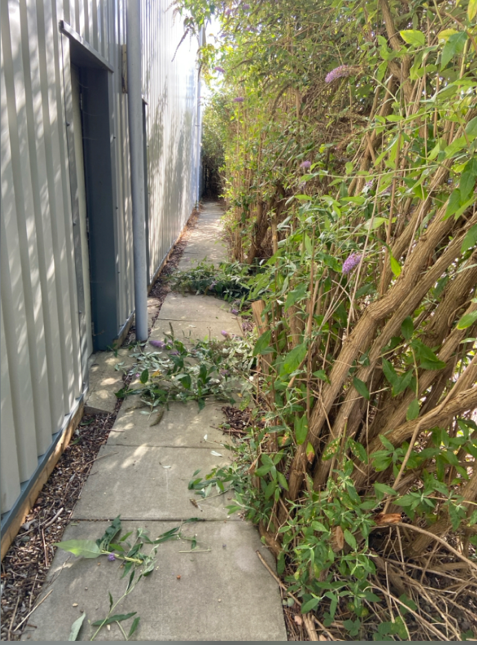 Garden work carried out by Cosy Gardeners, example 8