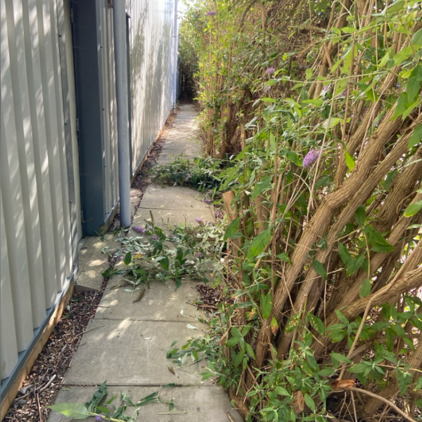 Garden work carried out by Cosy Gardeners, example 8