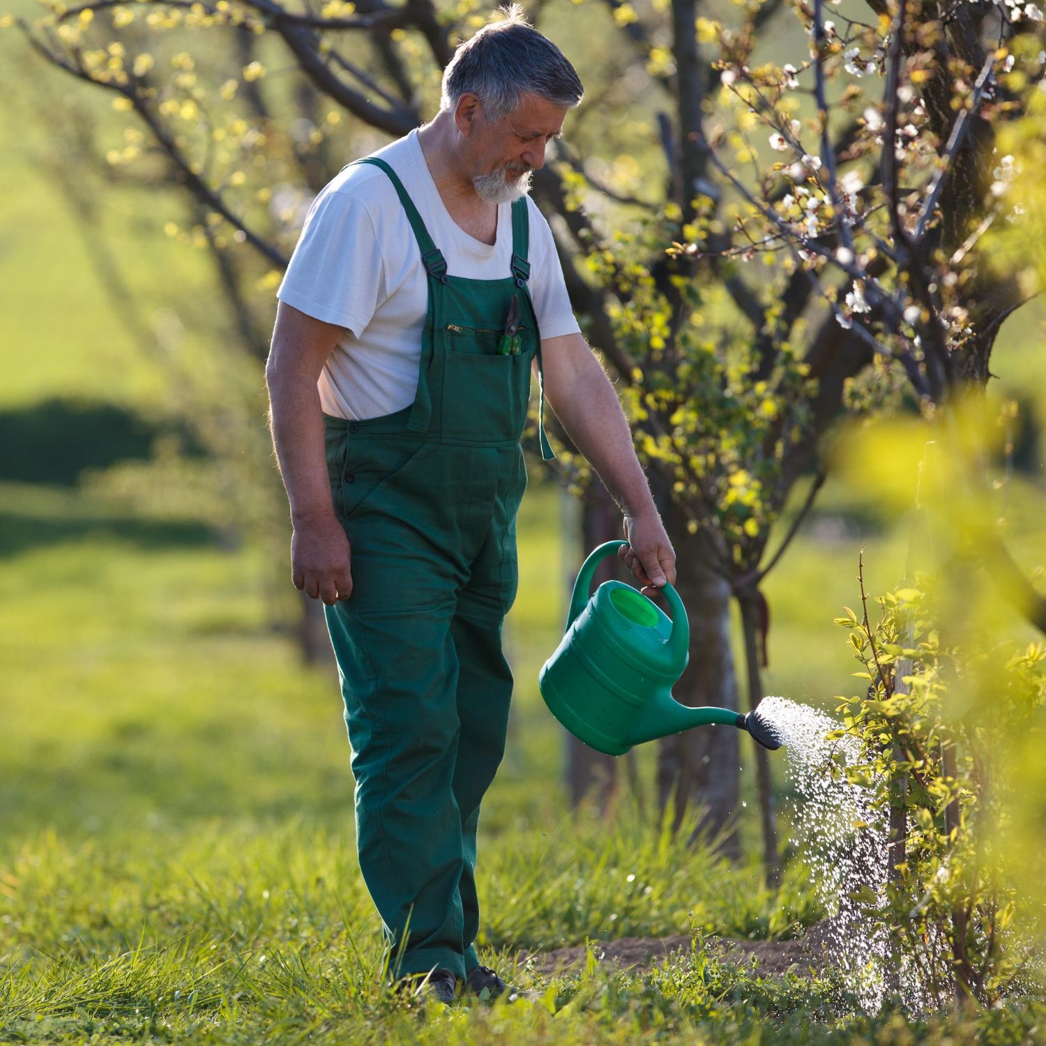 Gardening Services example 4