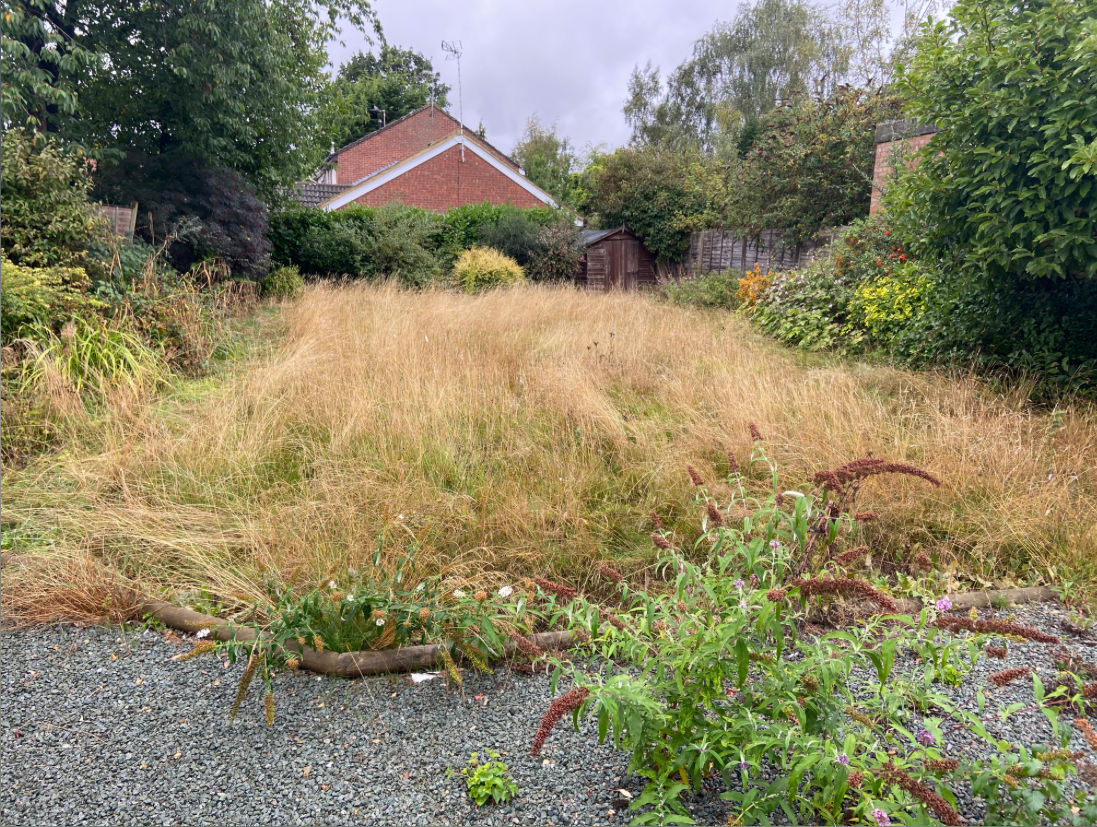 Garden work carried out by Cosy Gardeners, example 6