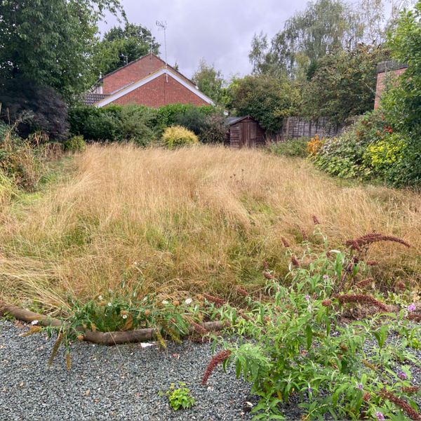 Garden work carried out by Cosy Gardeners, example 6