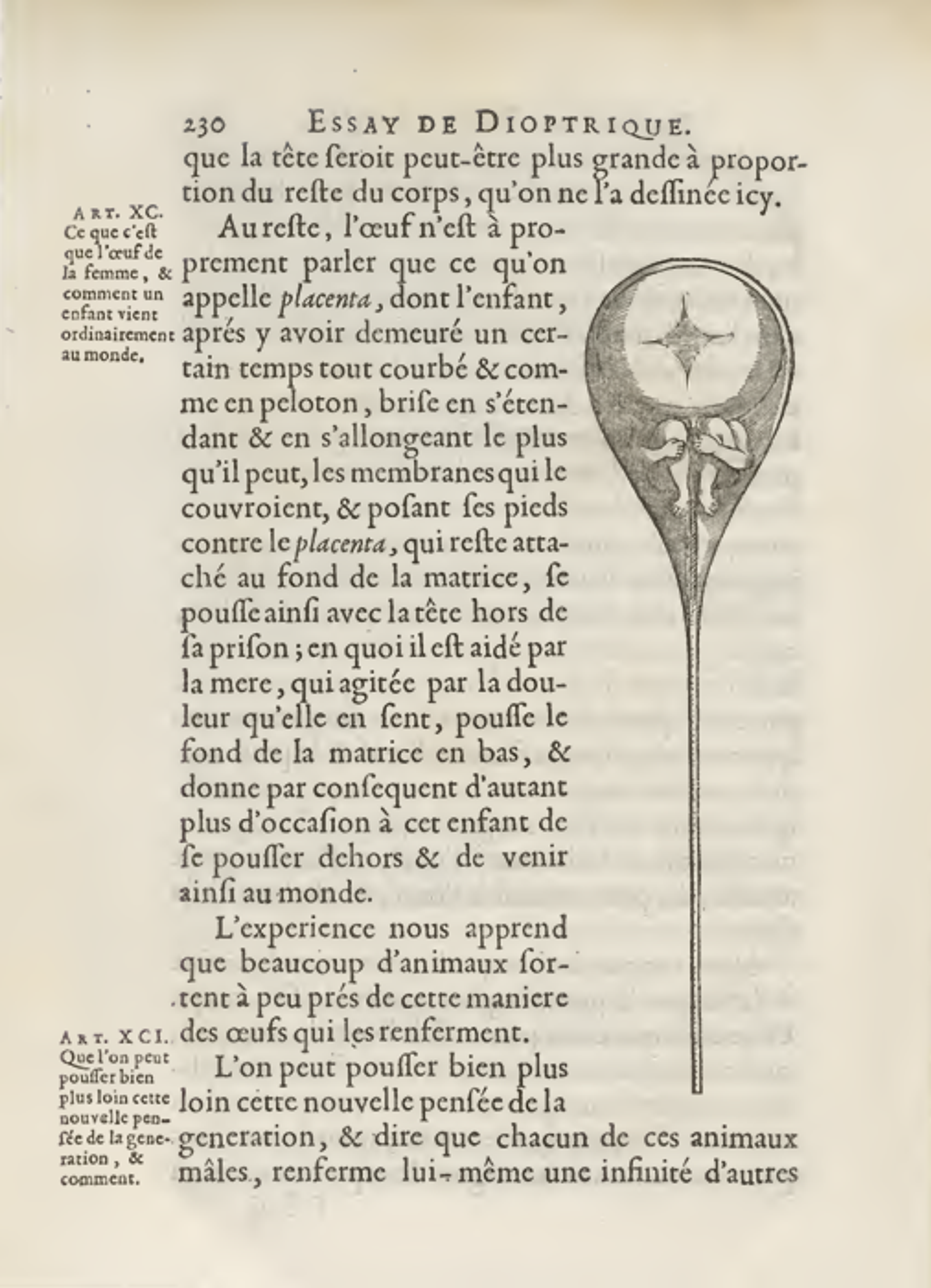  ‘Het diertje’ in: Nicolaes Hartsoeker, Essay de dioptrique (Paris: Jean Anisson, 1694). Collectie Rijksmuseum Boerhaave   Nicolaas Hartsoeker bestudeert in 1694 spermacellen. Hij gaat uit van de theorie dat in elke zaadcel een mini-mensje zit, dat de vrouw vervolgens ‘uitbroedt’.  