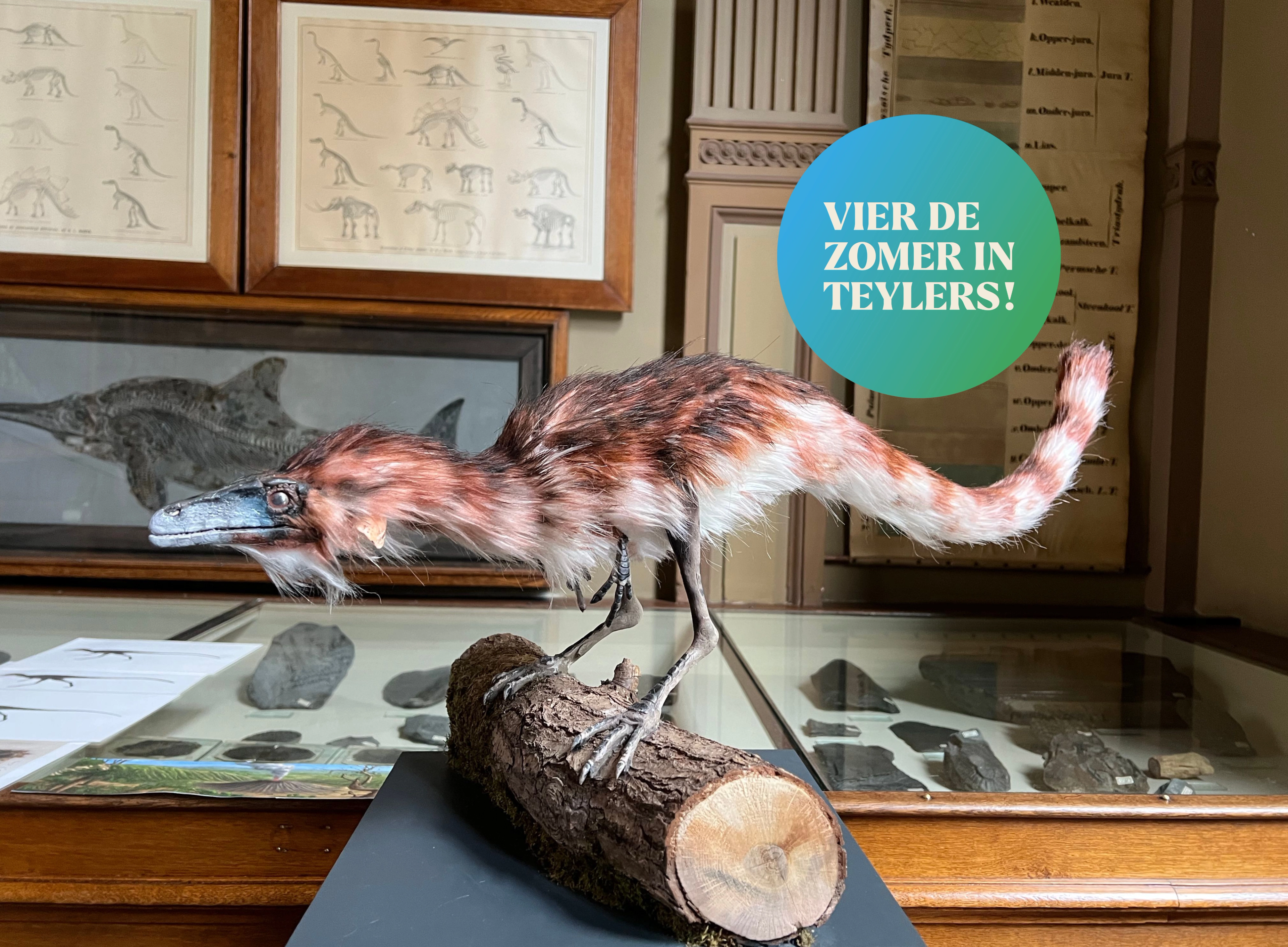Vier de zomer in Teylers Museum