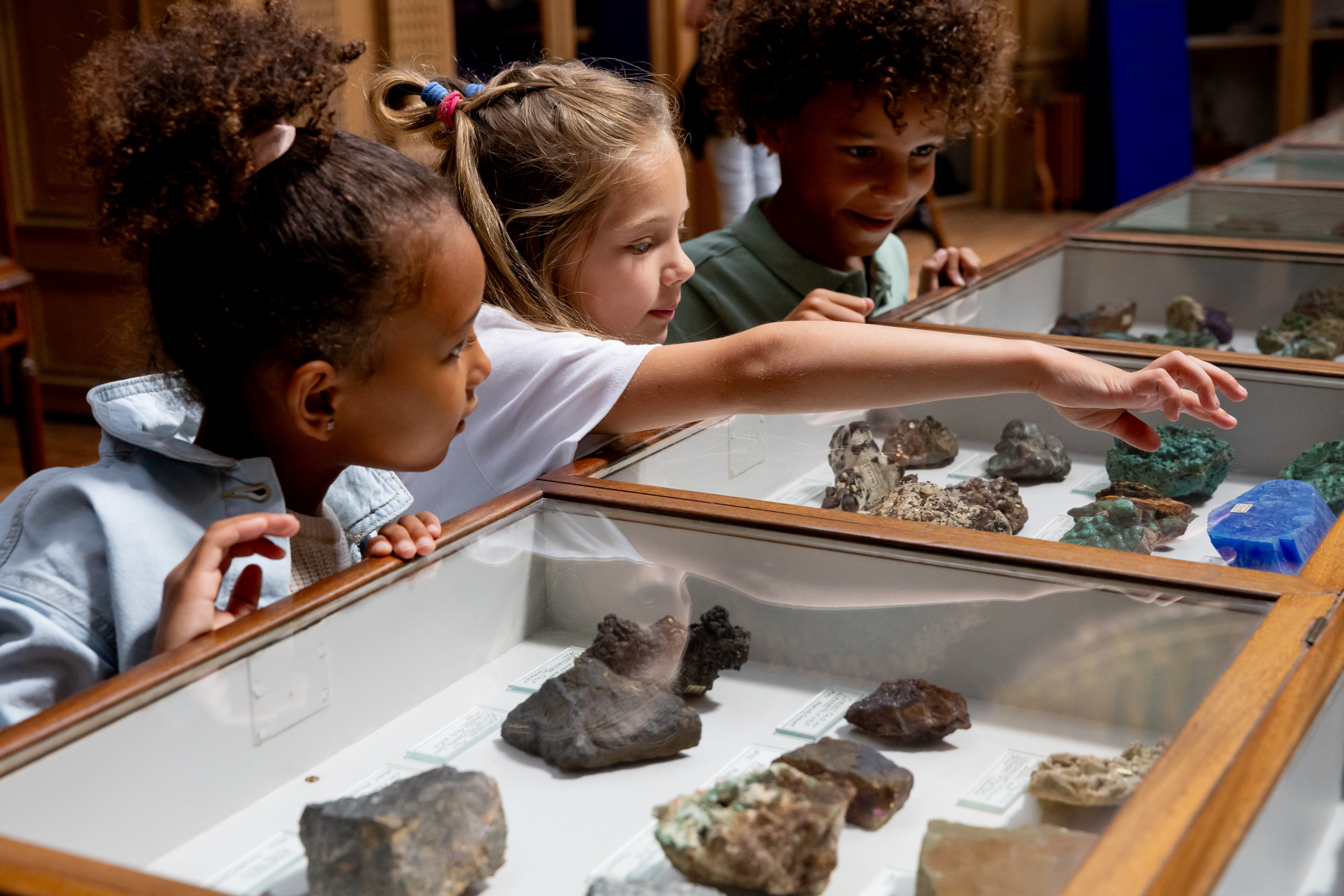 Vakantie in Teylers Museum