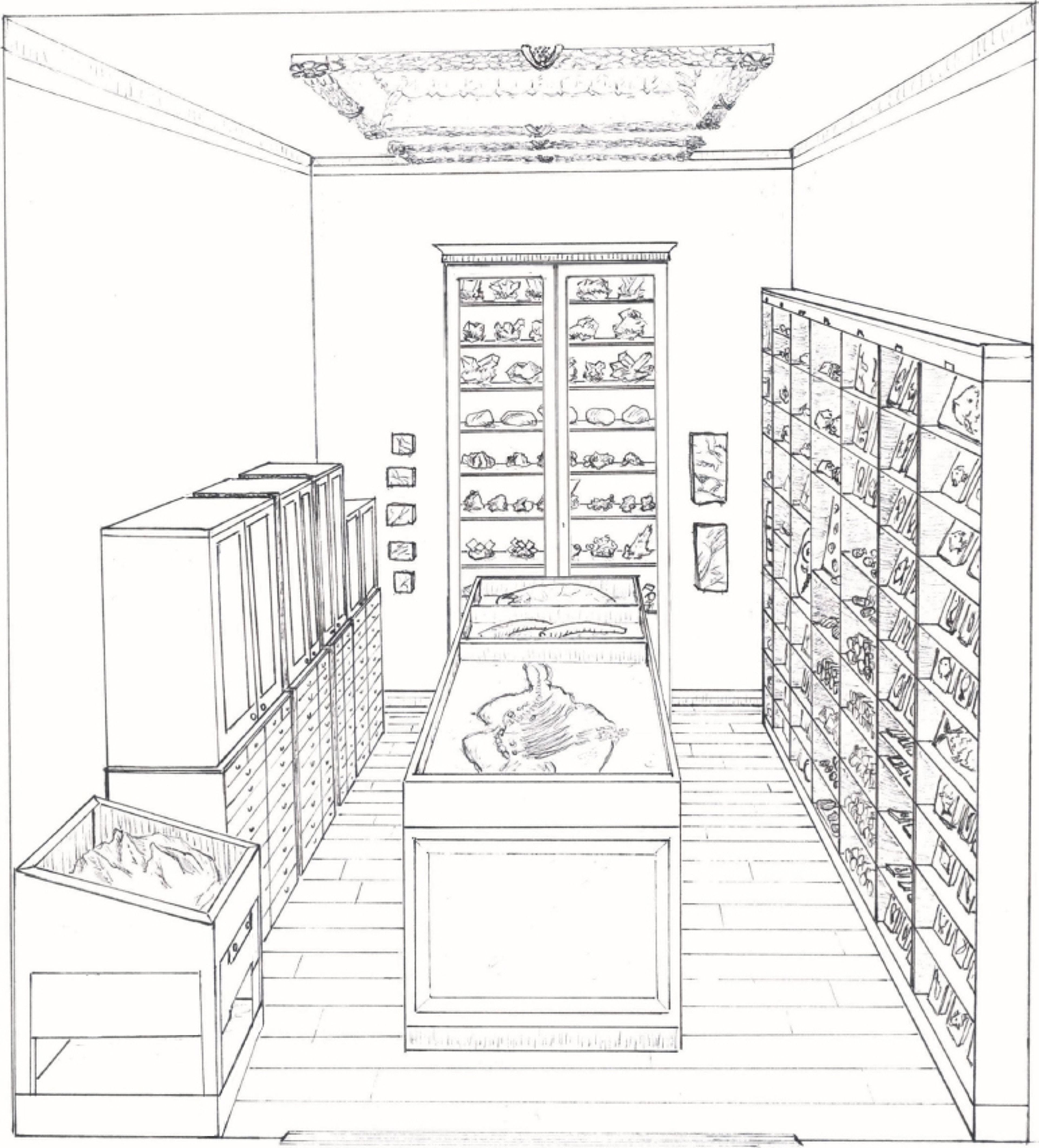Waarschijnlijke indeling van de ruimte als Gaanderij voor Versteeningen na de herinrichting in 1839 (tekening: Marjolein Breed, 2024)