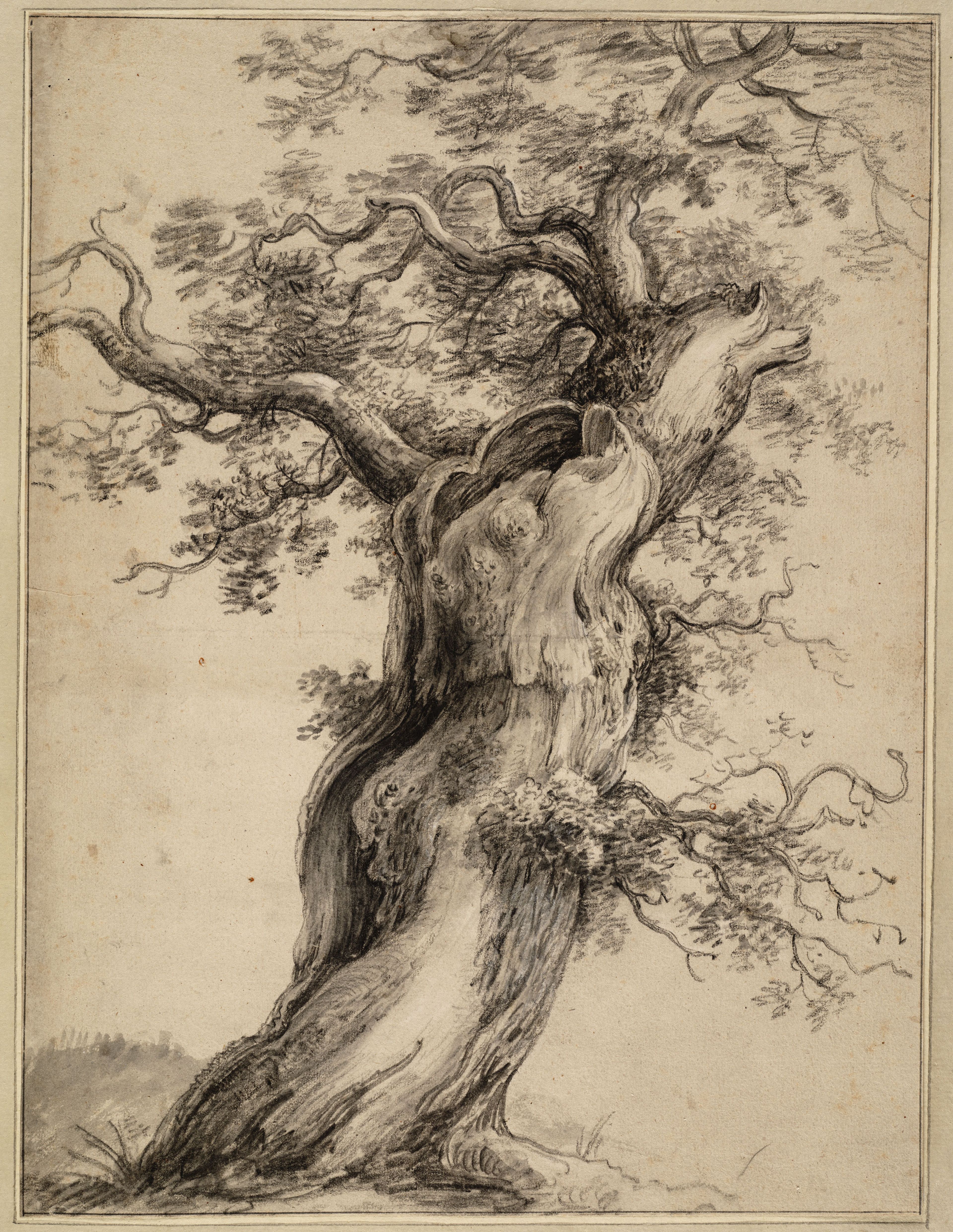 Knoestige oude boom Waterloo, Anthonie, (1609-1690) (tekenaar), na 1629 - voor 1690
