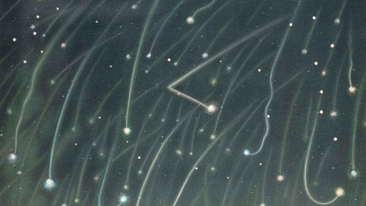 Cosmos