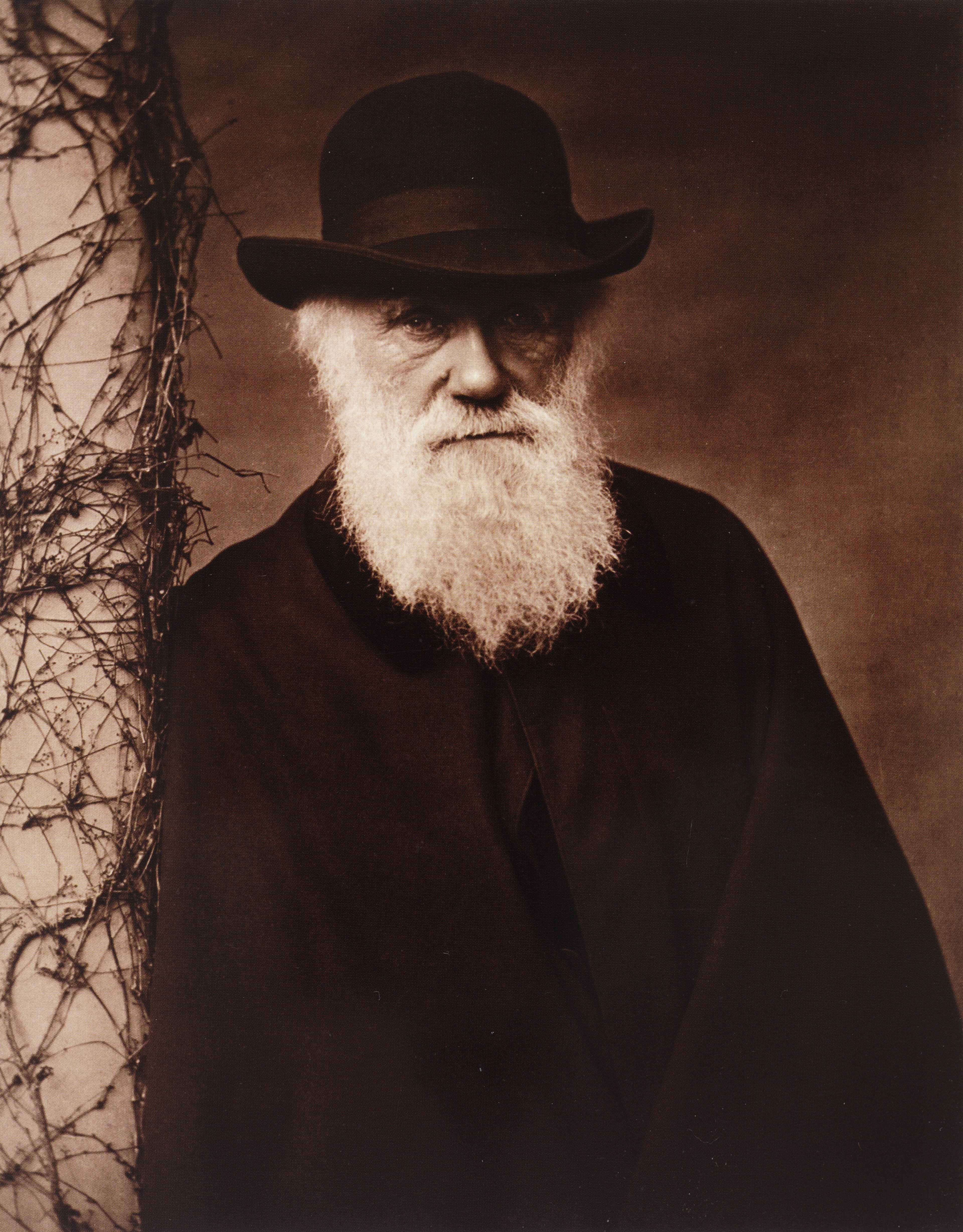 Foto Charles Darwin.