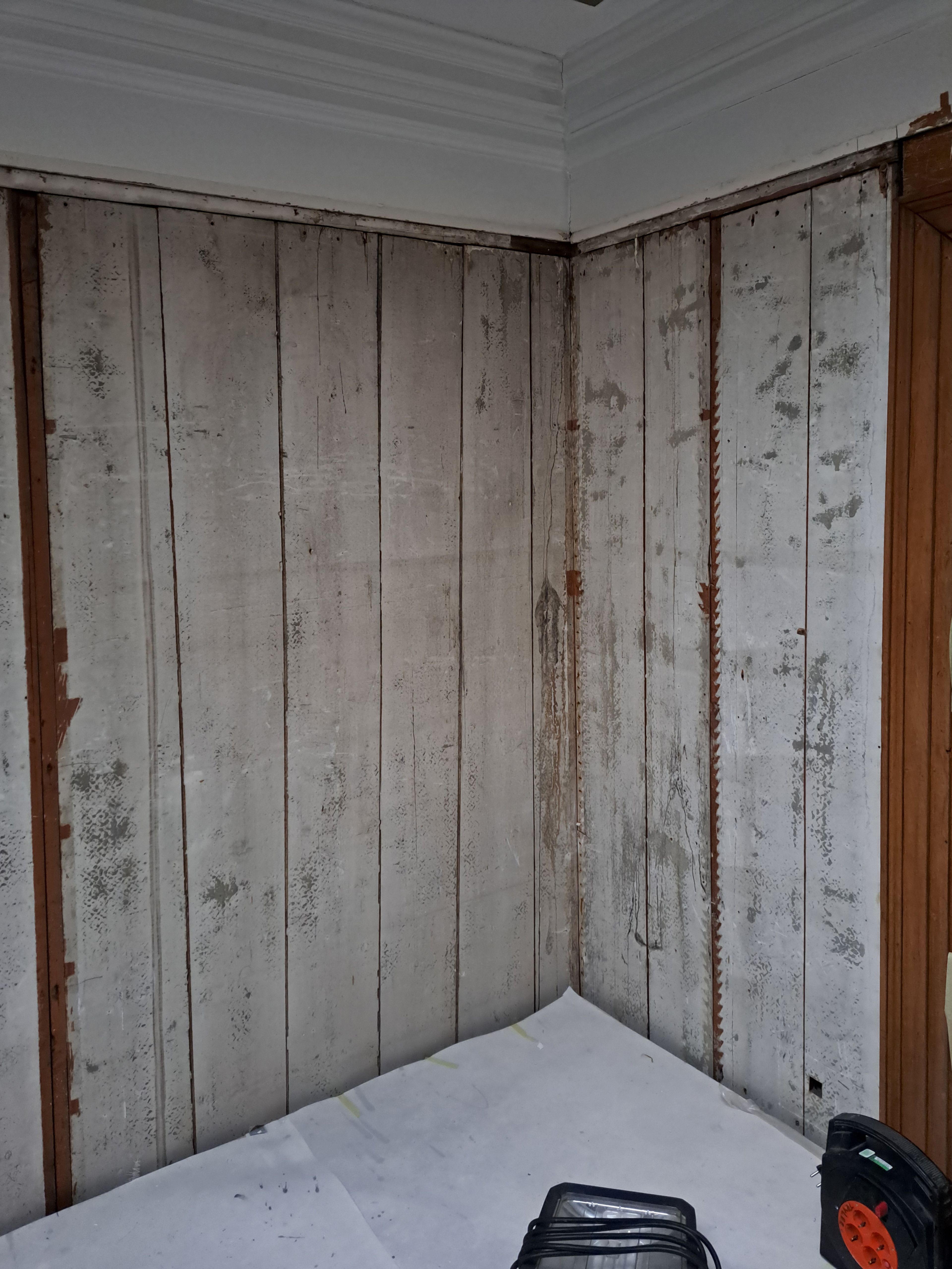 Bij binnenkomst direct rechts van de deur: de witte achterwand van de oorspronkelijke fossielen-vitrines, met zichtbare plankendragers tijdens de restauratie (25 februari 2025)