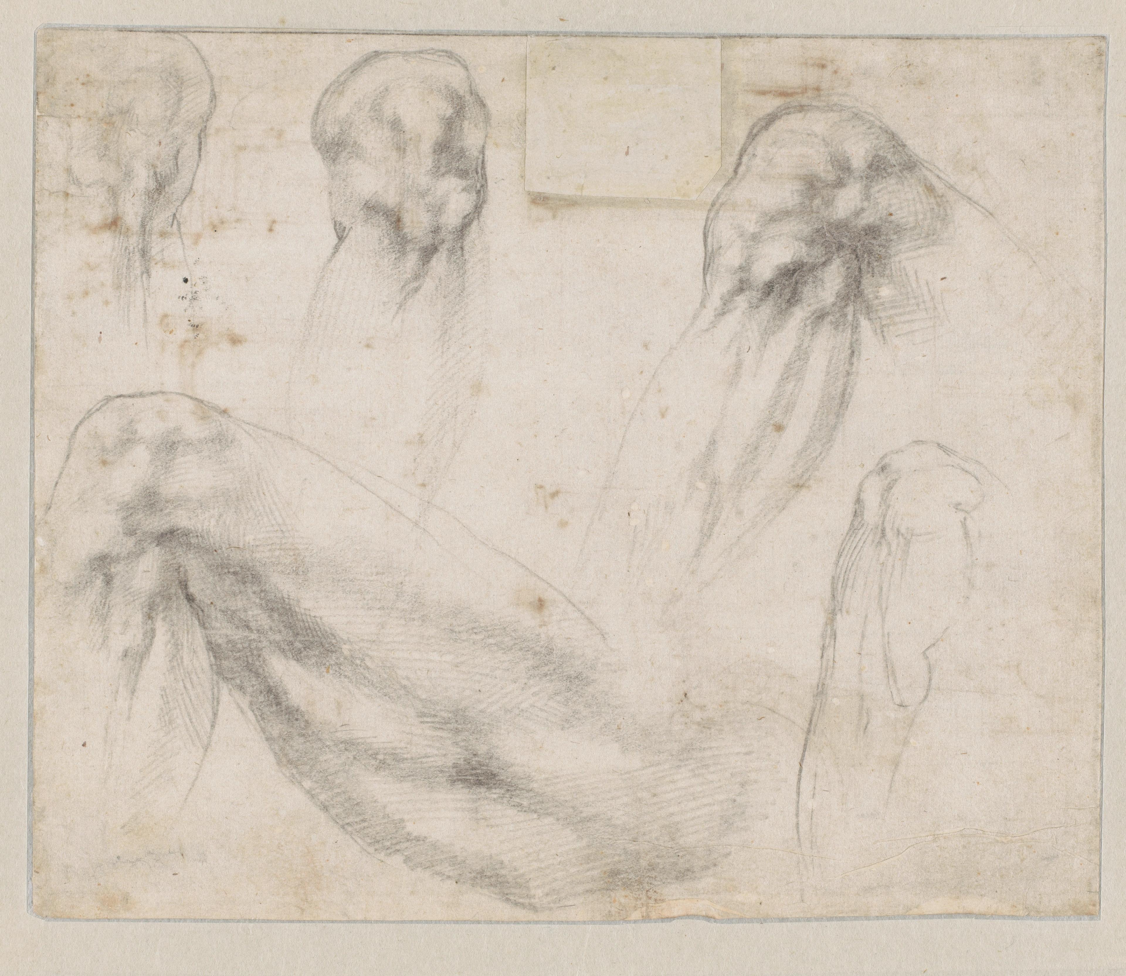 Michelangelo Buonarroti (1475-1564), Studies voor de Dag, ca. 1523-1527. Collectie Teylers Museum 
