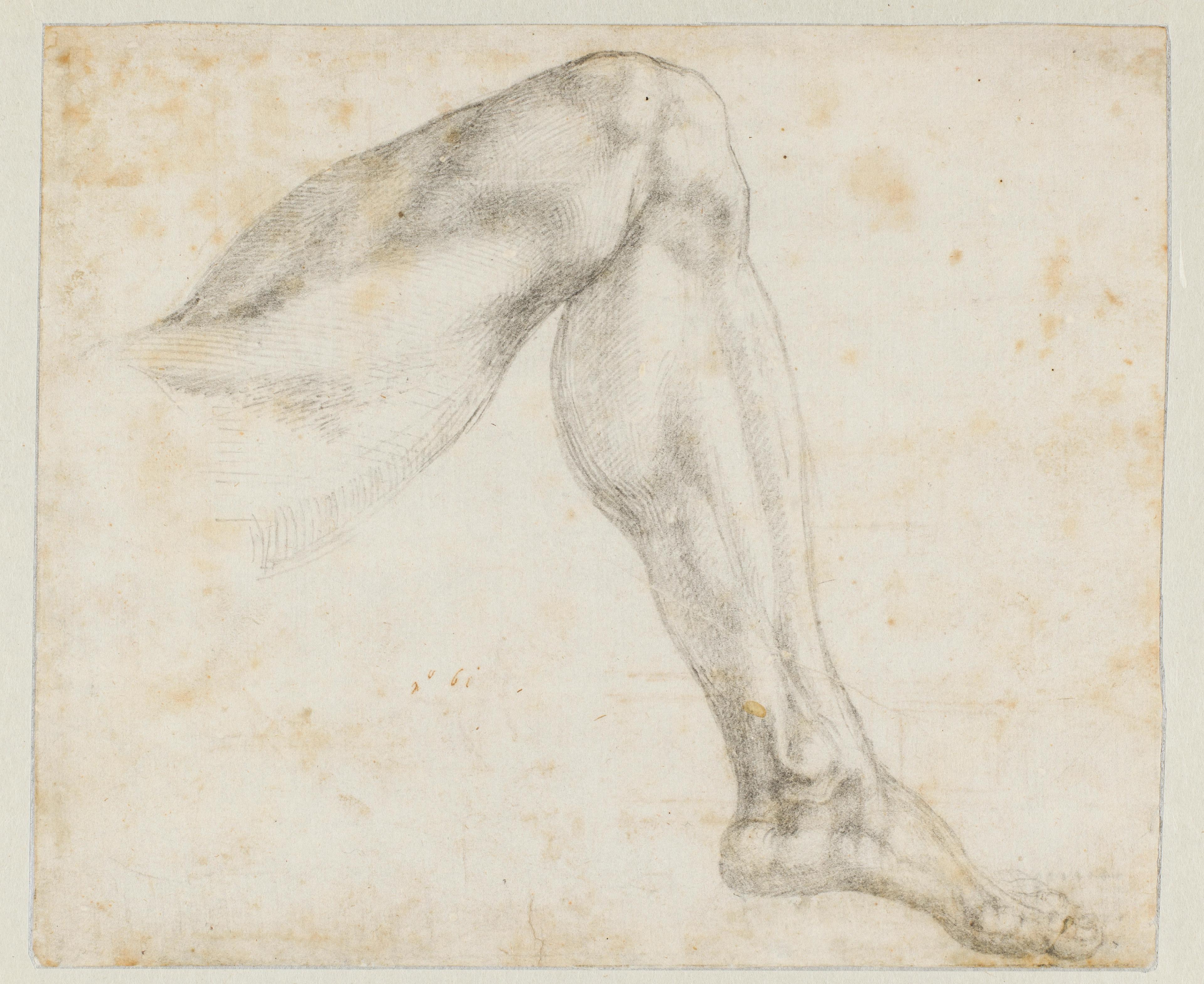 Michelangelo Buonarroti (1475-1564), Studies voor de Dag, ca. 1523-1527. Collectie Teylers Museum Michelangelo Buonarroti (1475-1564), Studies voor de Dag, ca. 1523-1527. Collectie Teylers Museum