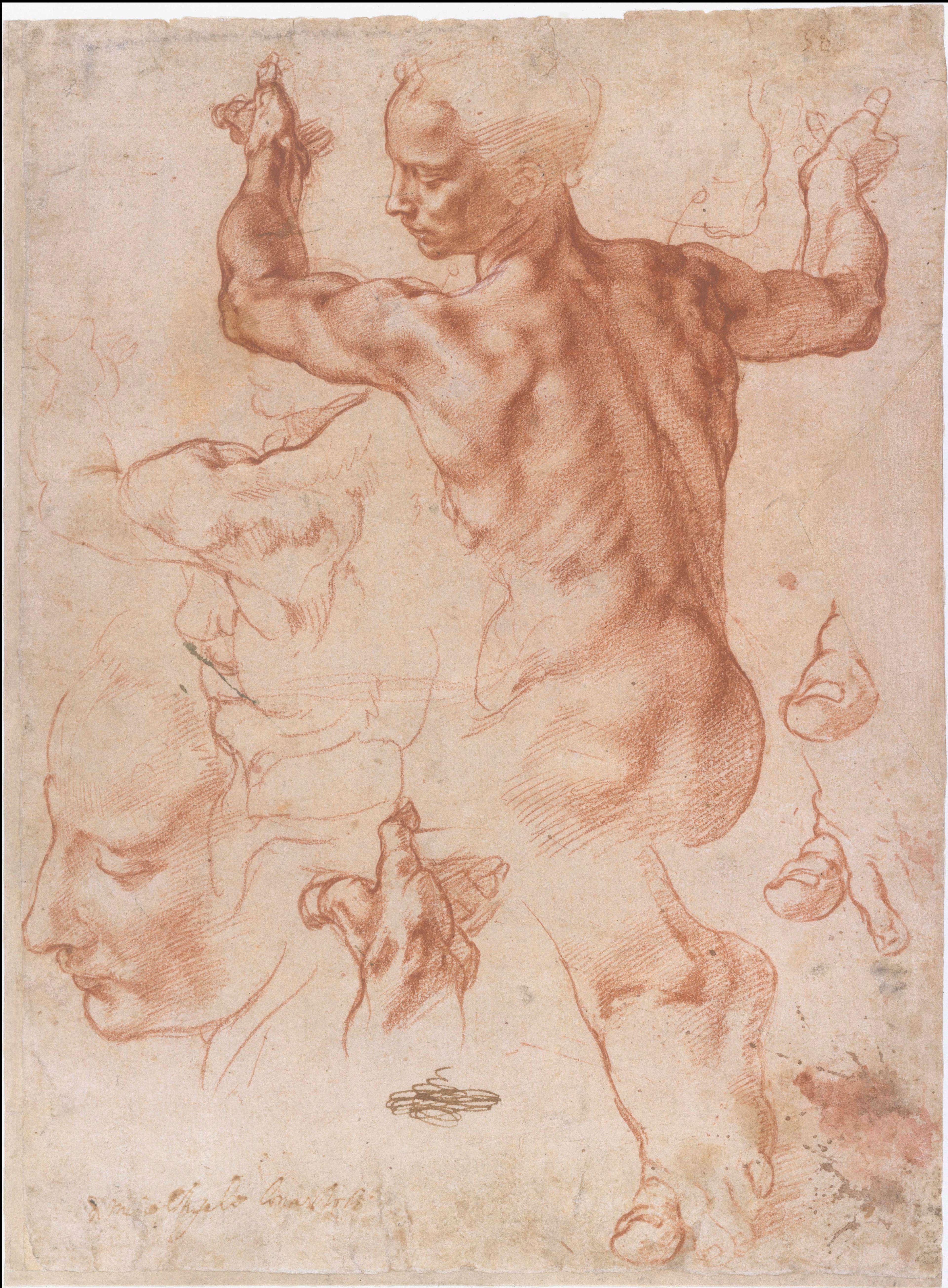 Michelangelo Buonarroti (1475-1564), Studies voor de Libisch Sibille voor de Sixtijnse Kapel, ca. 1511. Collectie The Metropolitan Museum of Art, New York.
