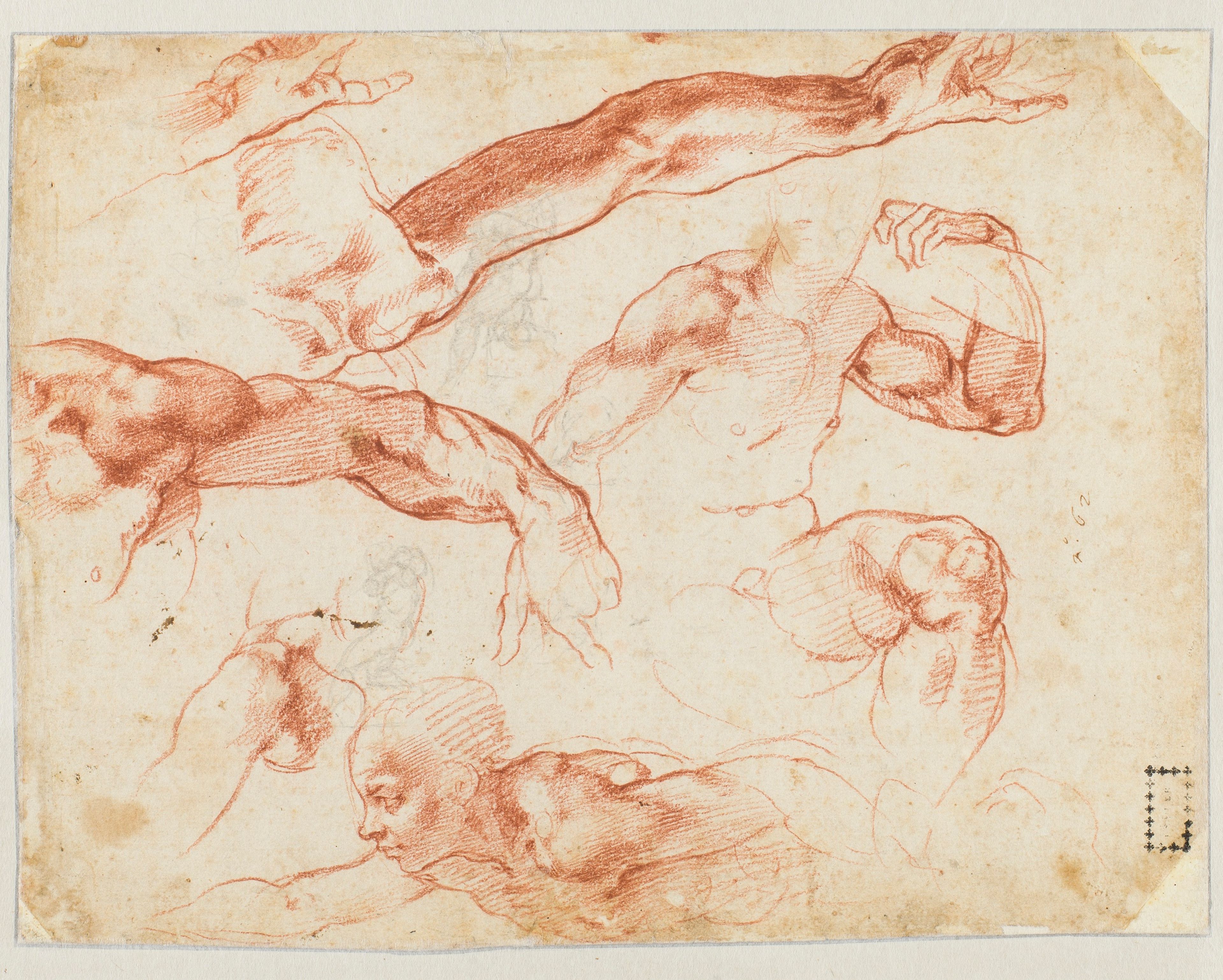 De voorstudie voor een figuur die Eva wordt genoemd, ca. 1511 (rechts). Collectie Teylers Museum