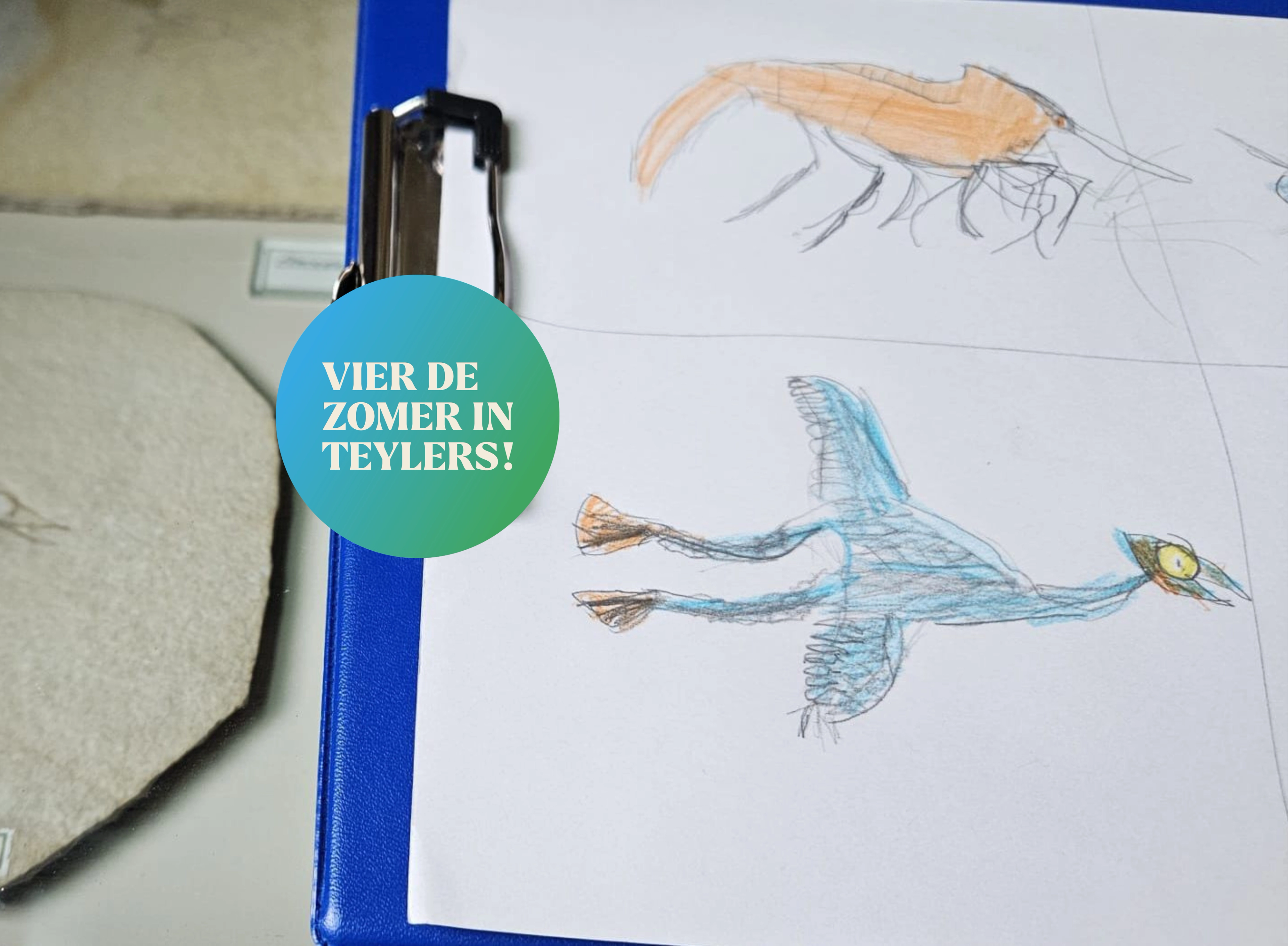 Vier de zomer in Teylers Museum