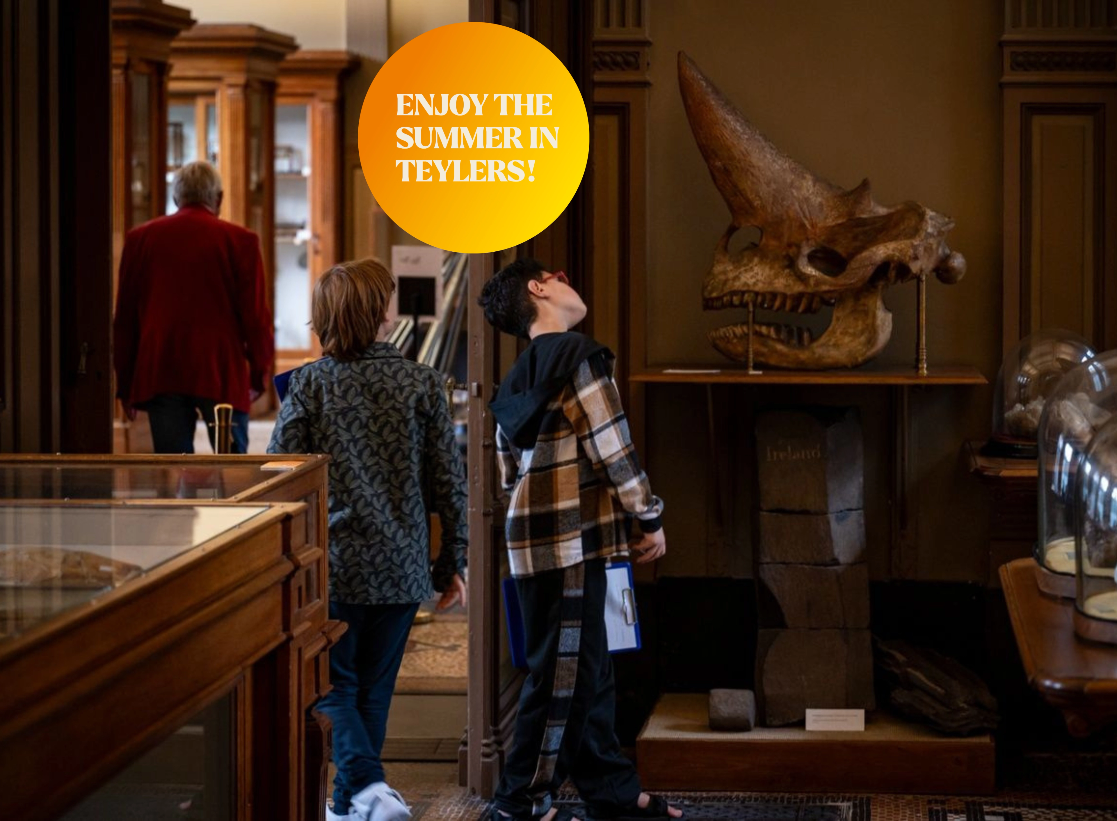 Vier de zomer in Teylers Museum