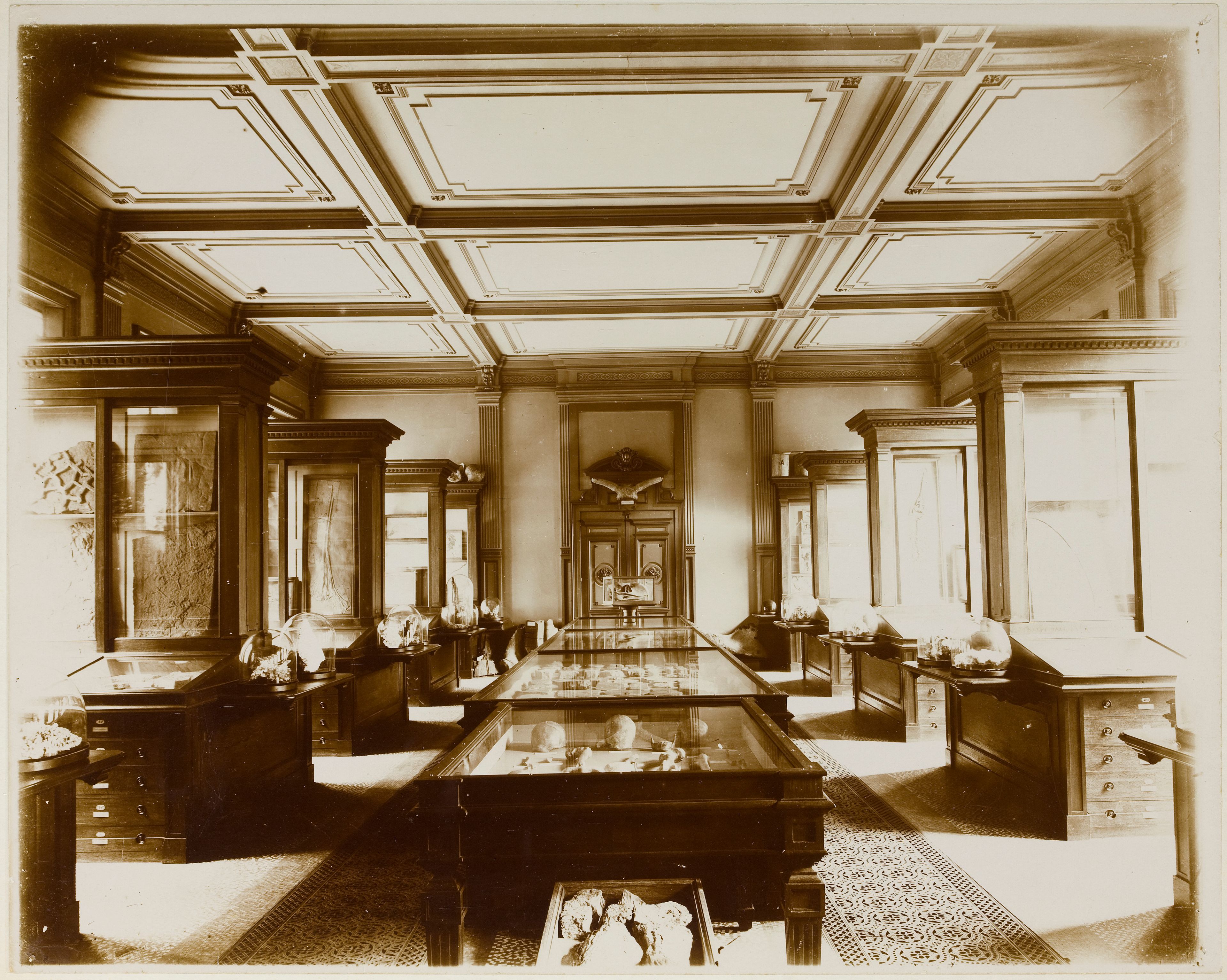 Archive photo Second Fossil Room, ca. 1900