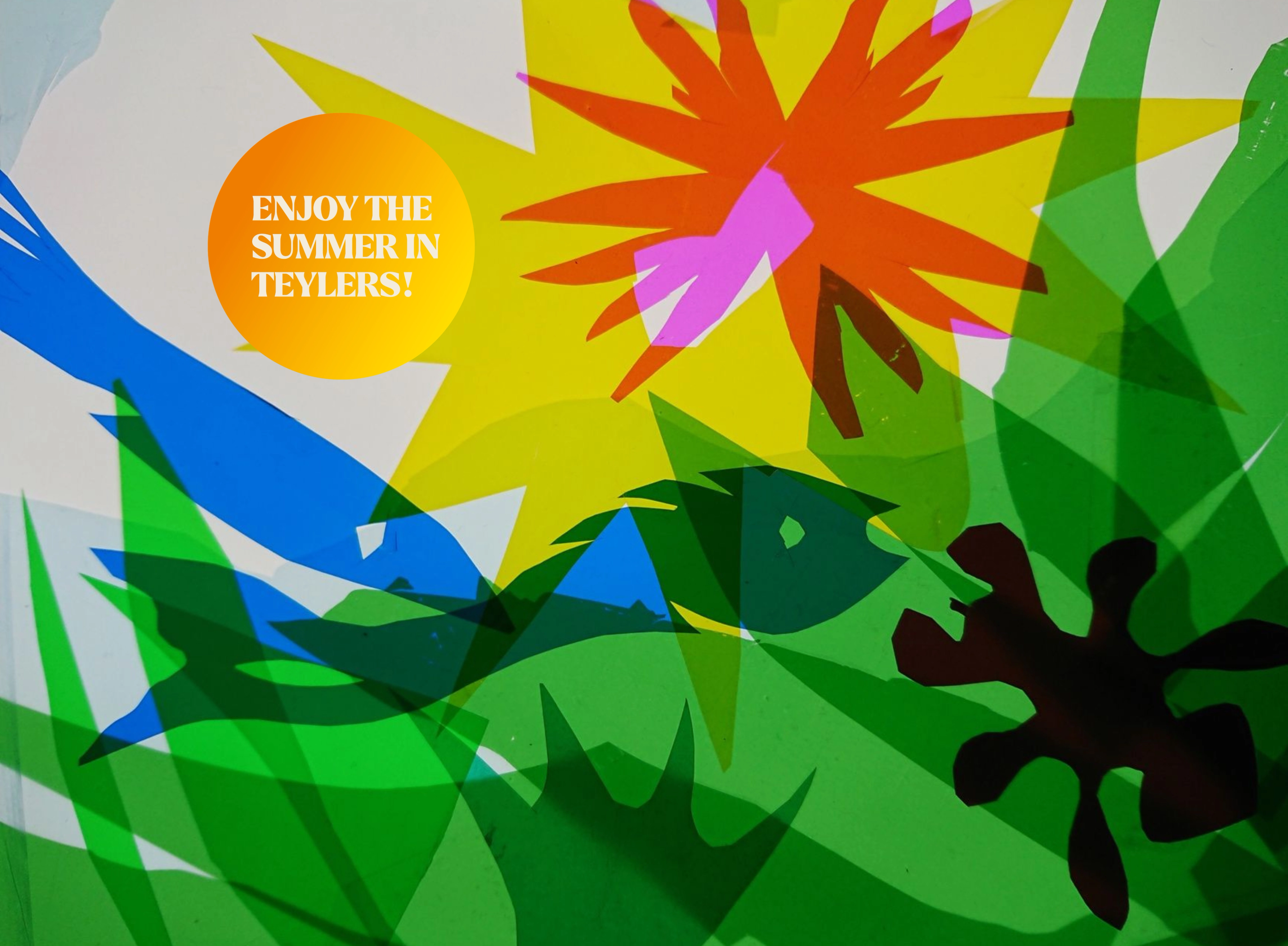 Vier de zomer in Teylers Museum