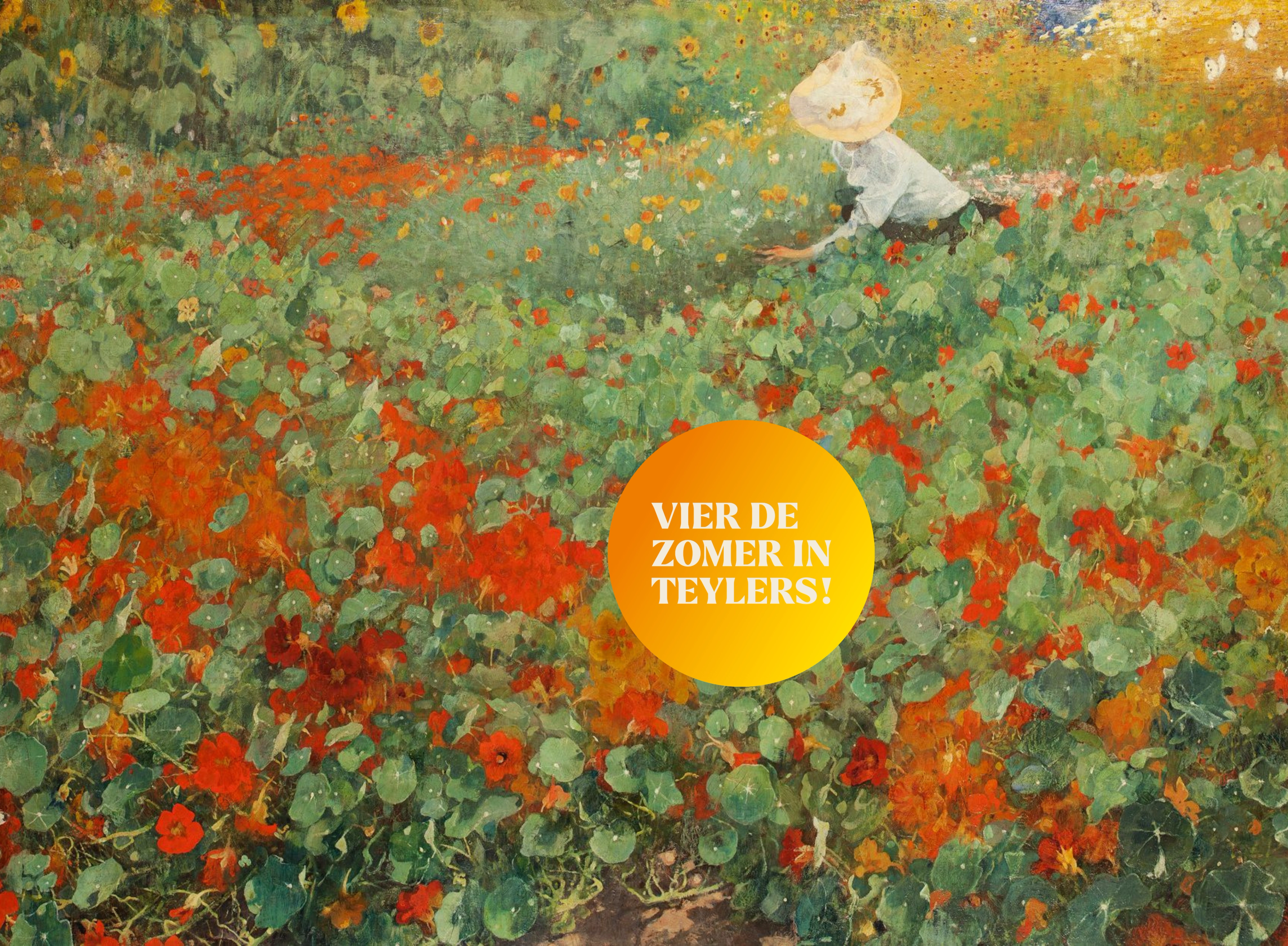 Vier de zomer in Teylers Museum