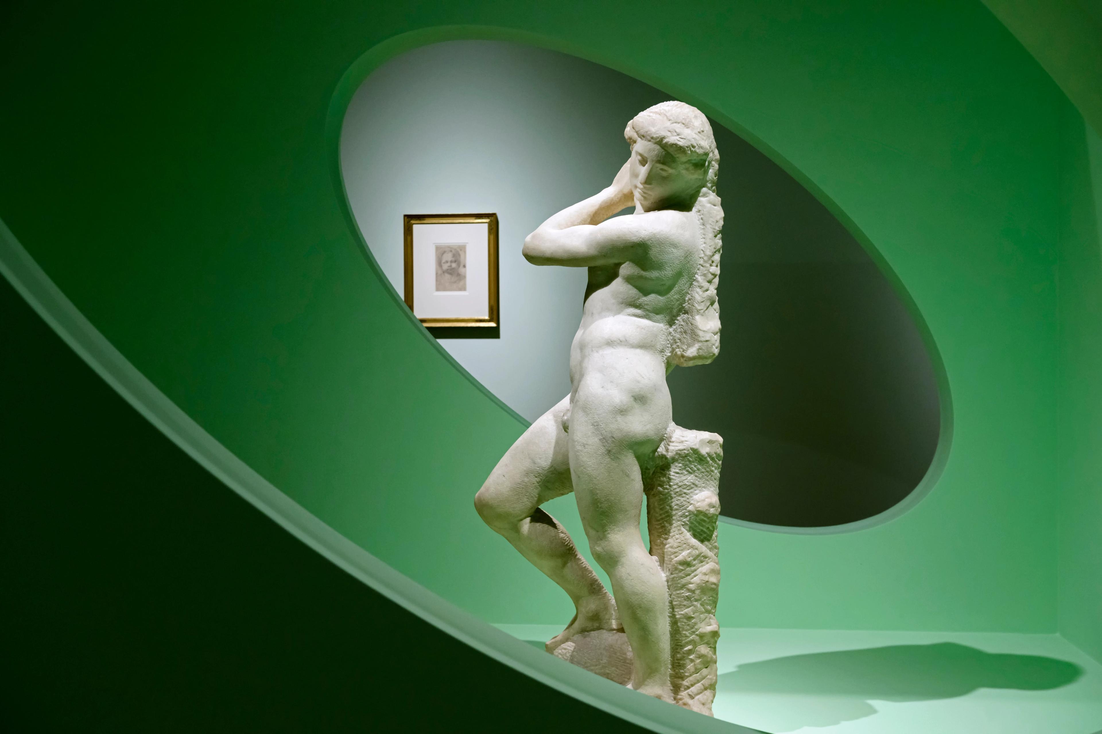 Het beeld Apollo-David van Michelangelo in de tentoonstelling