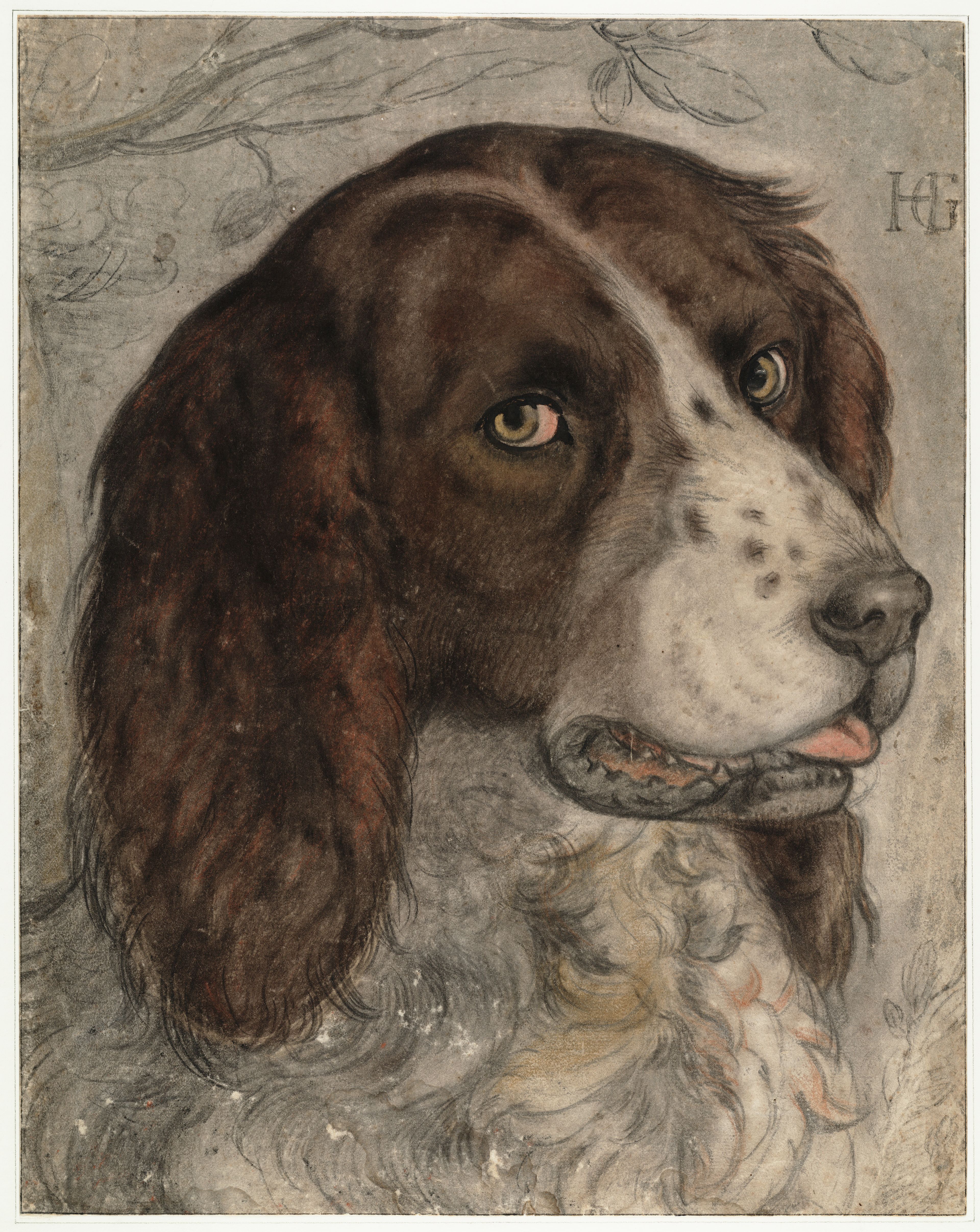 Hendrick Goltzius, Goltzius' hond, ca. 1595-1597.