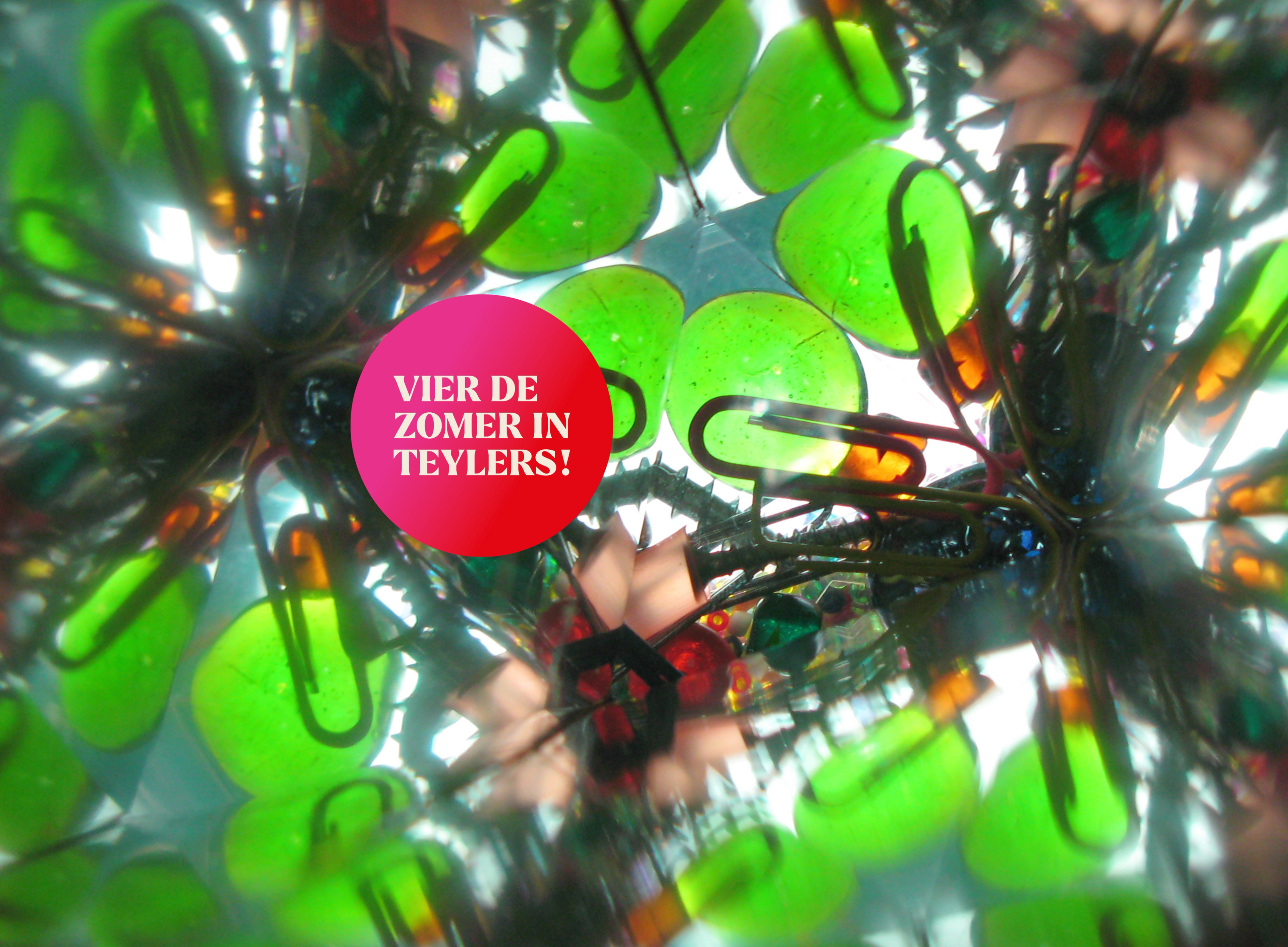 Vier de zomer in Teylers Museum