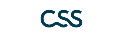 Logo css