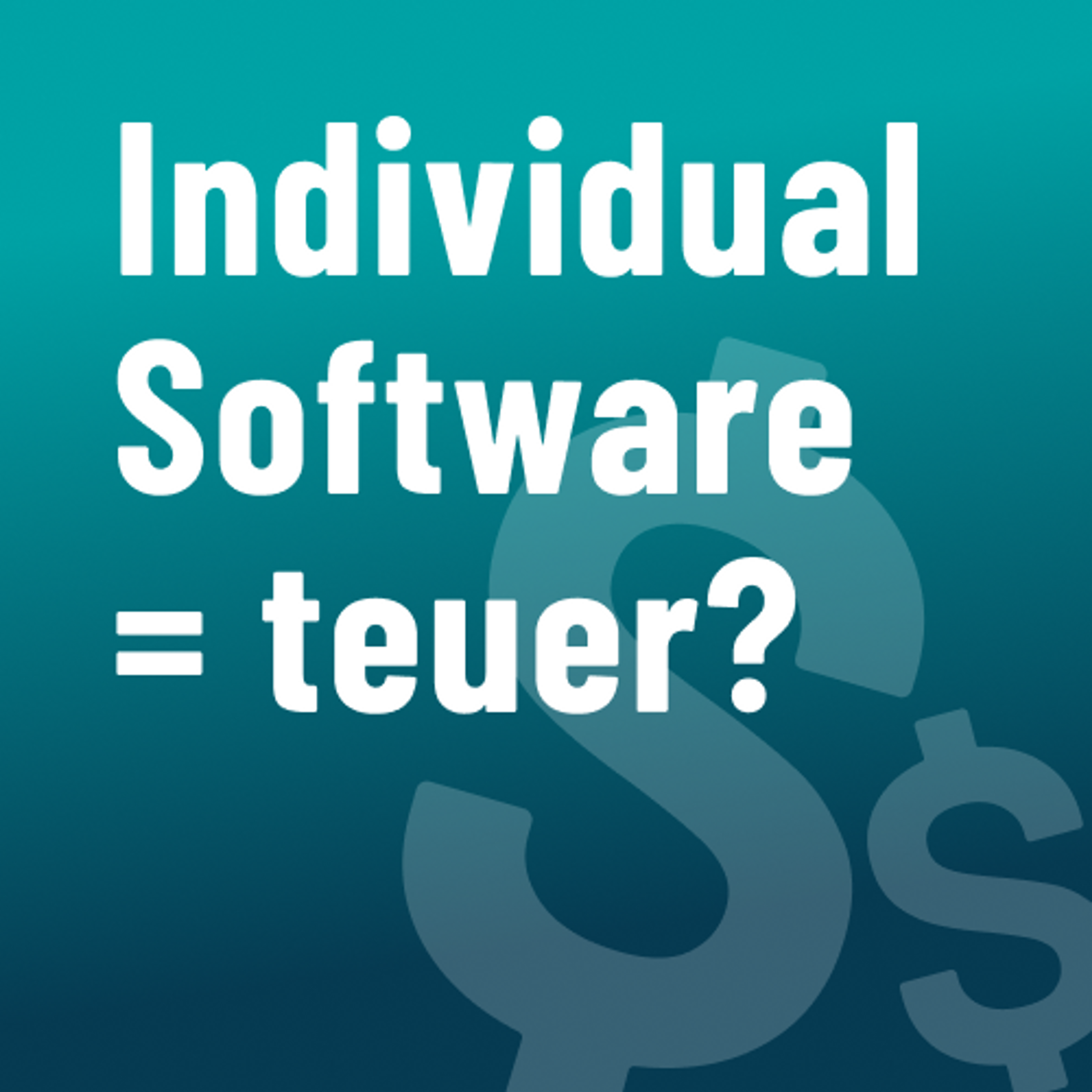 Warum Individual Software nicht teuer sein muss
