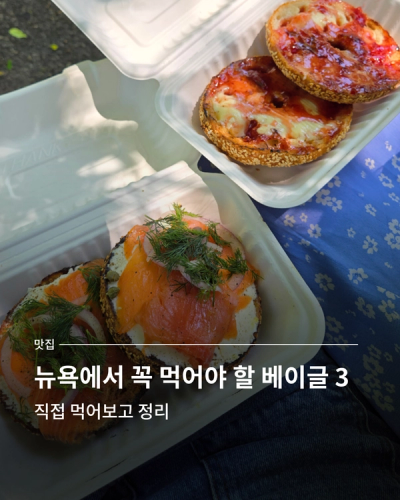 Nyc best bagel