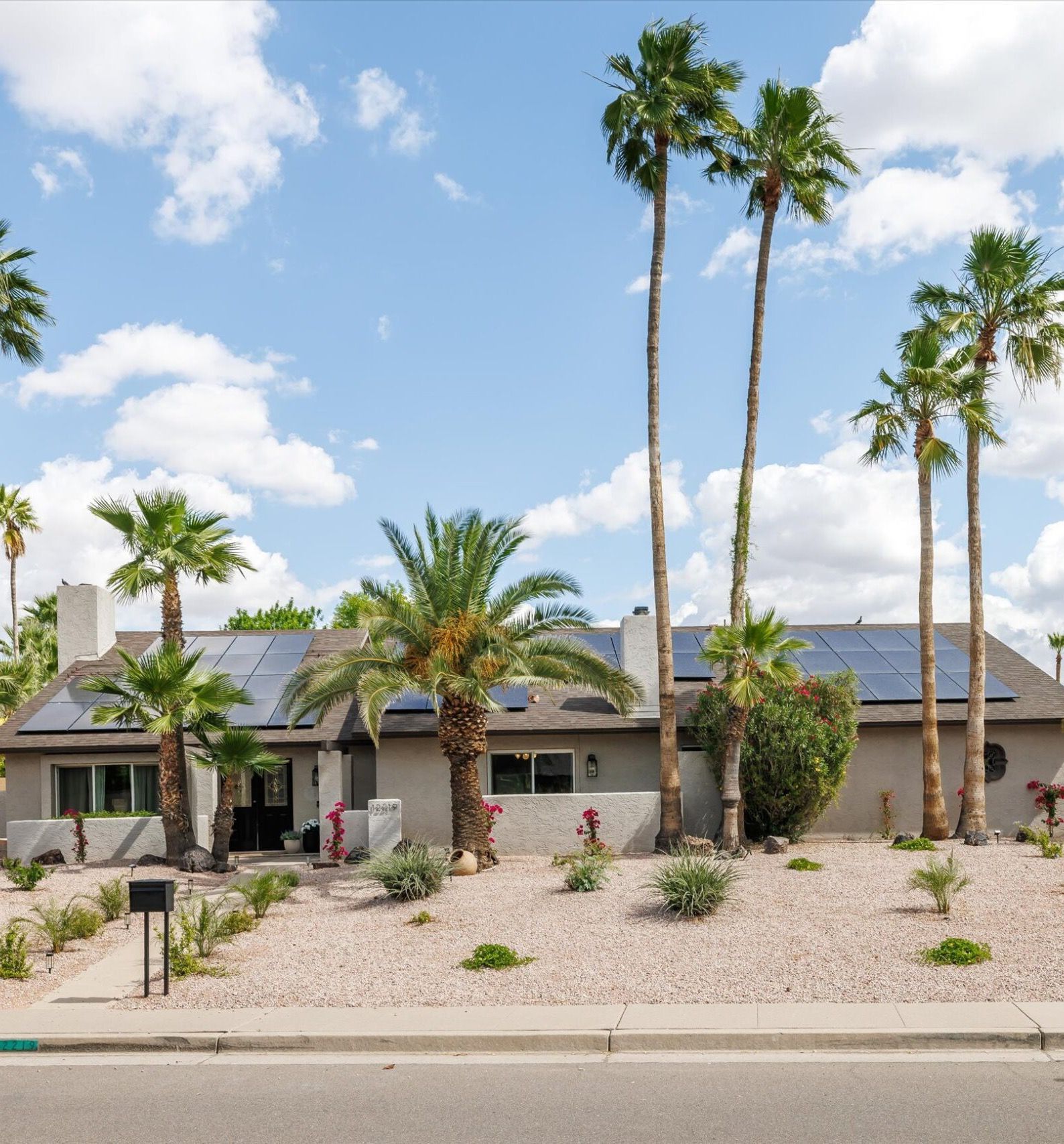 Relaxed Scottsdale Luxury: Welcome to Desert Palm