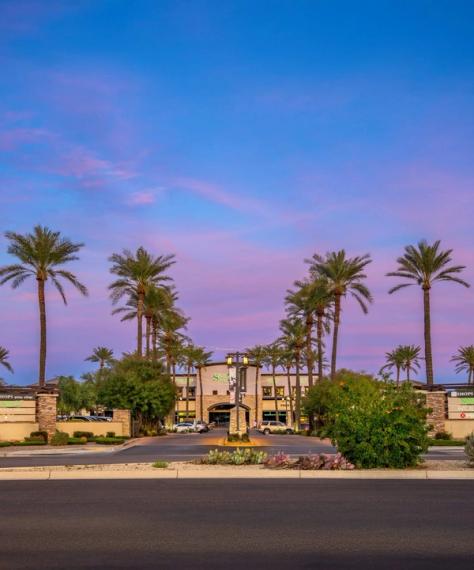 Low commercial building set back from a street behind tall palms and flowering planting, under a pink and blue dusk sky
