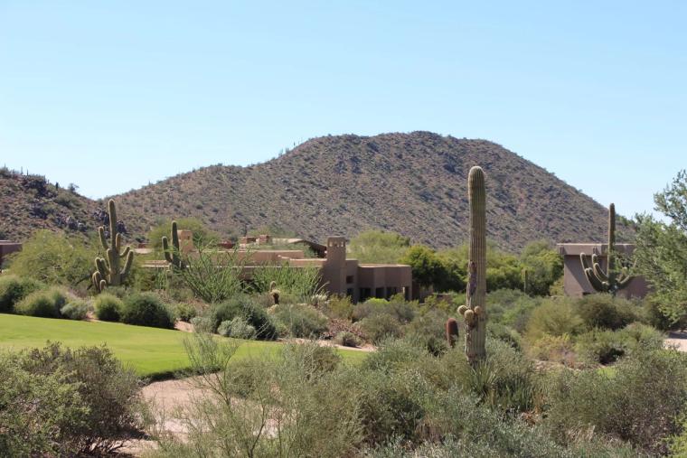 Desert homes below a peak, with golf turf and saguaro in front