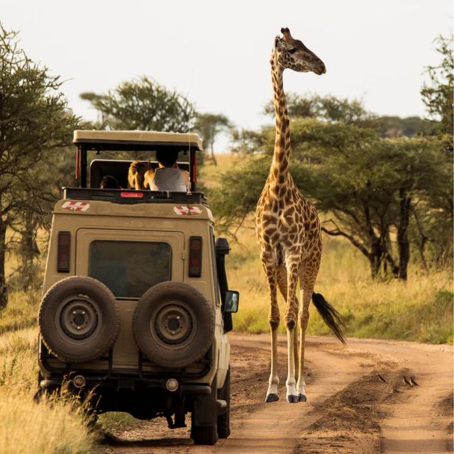 Japan, Italy, Peru, Tanzania – 2023 Luxury Travel Trends