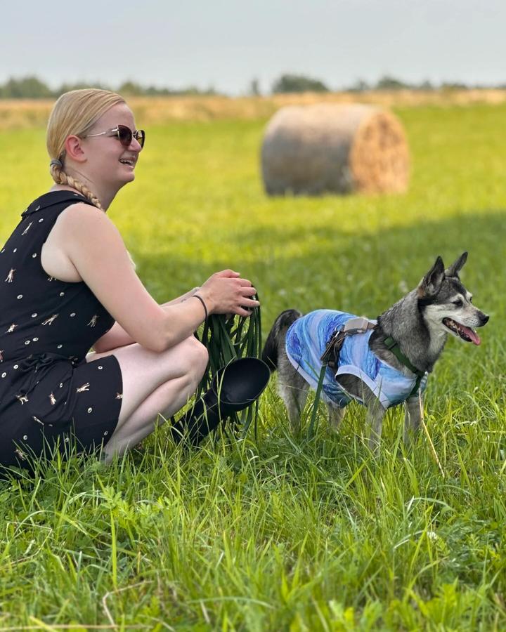 Trenerka klęczy obok husky'ego w niebieskim ubranku na letniej łące ze stogiem siana w tle