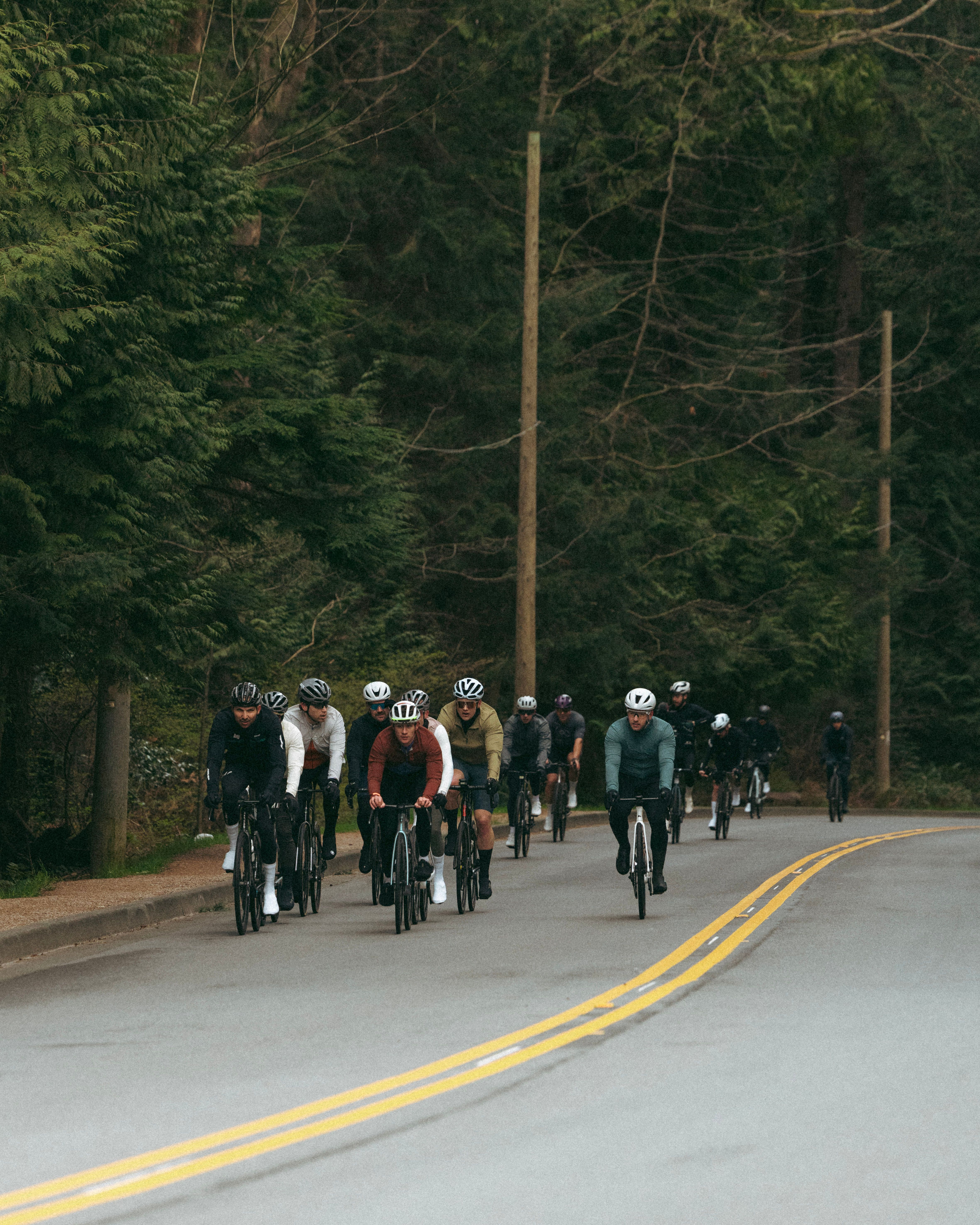 Cyclists riding in front of green forest in a group
