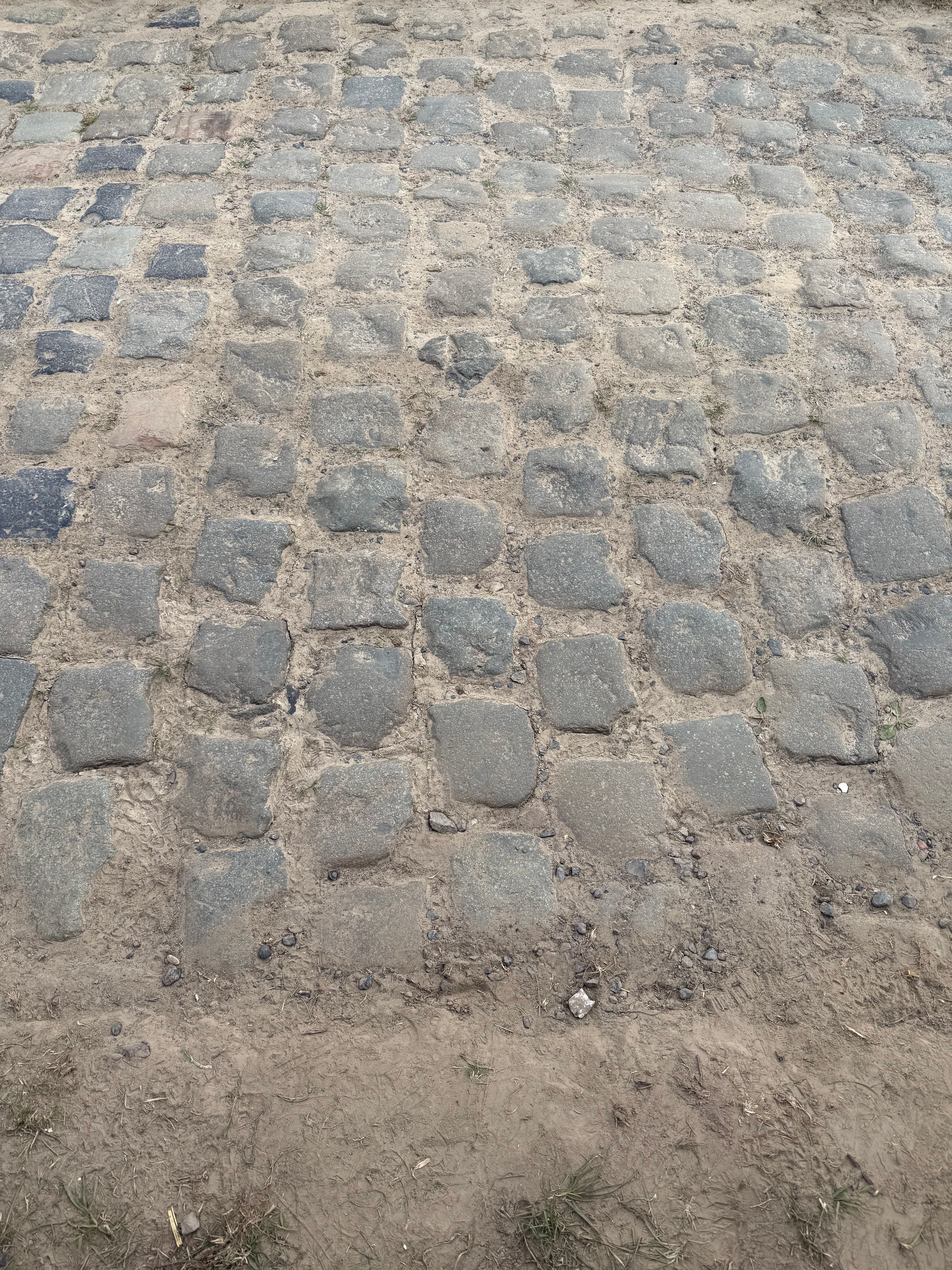 Paris Roubaix Cobbles