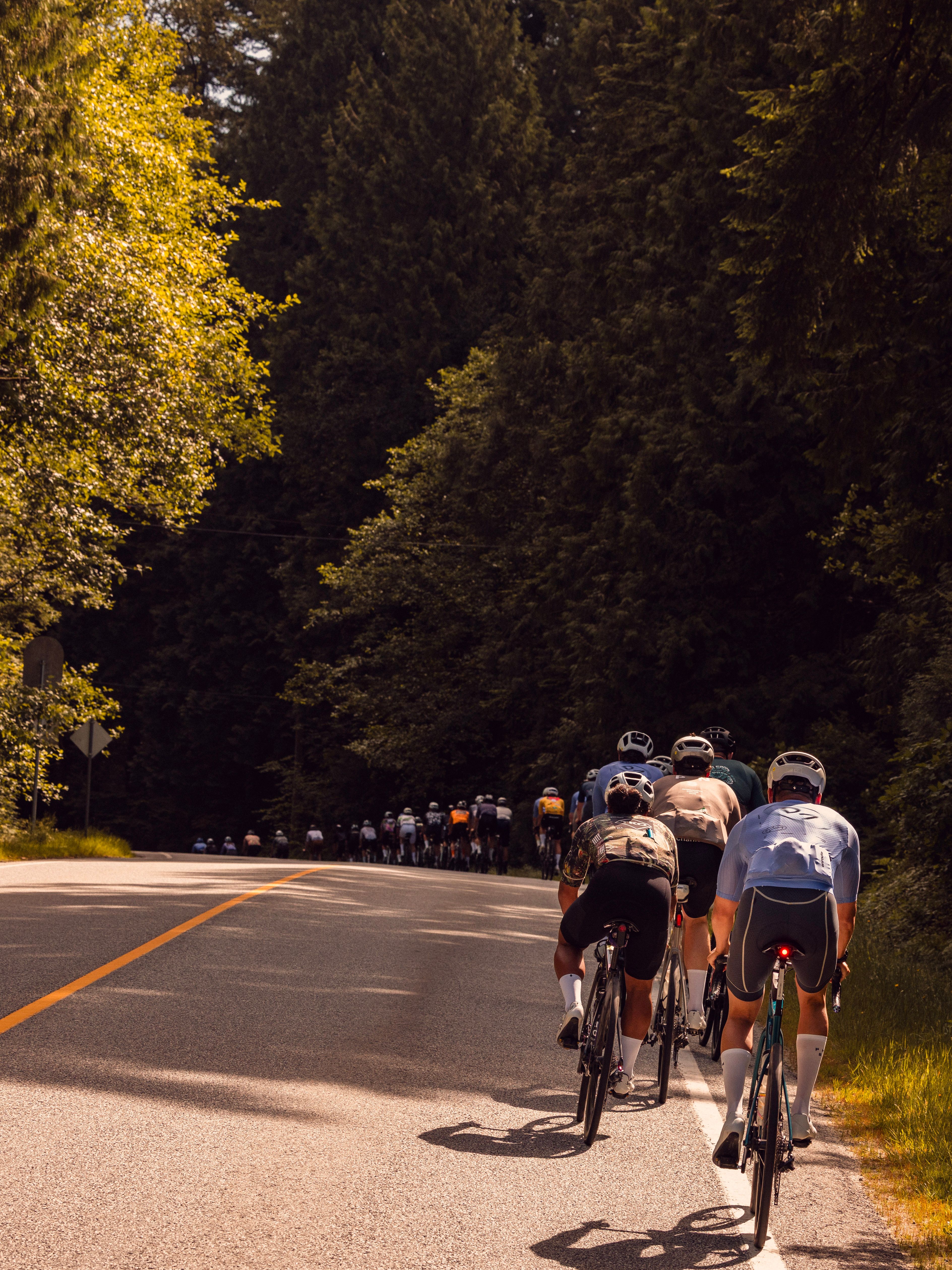 line of cyclists riding on forest lines street
