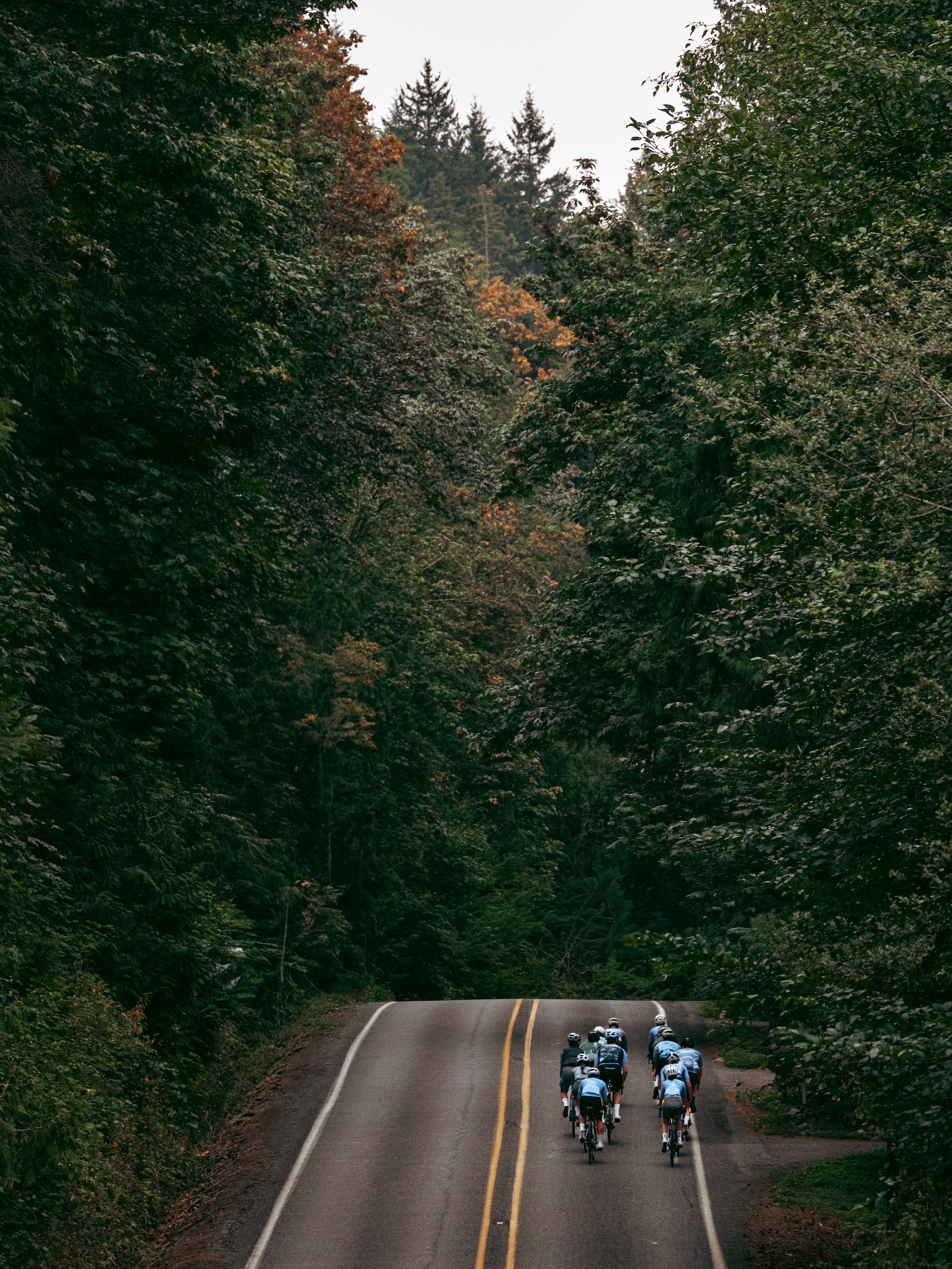 Cyclists riding in the forest