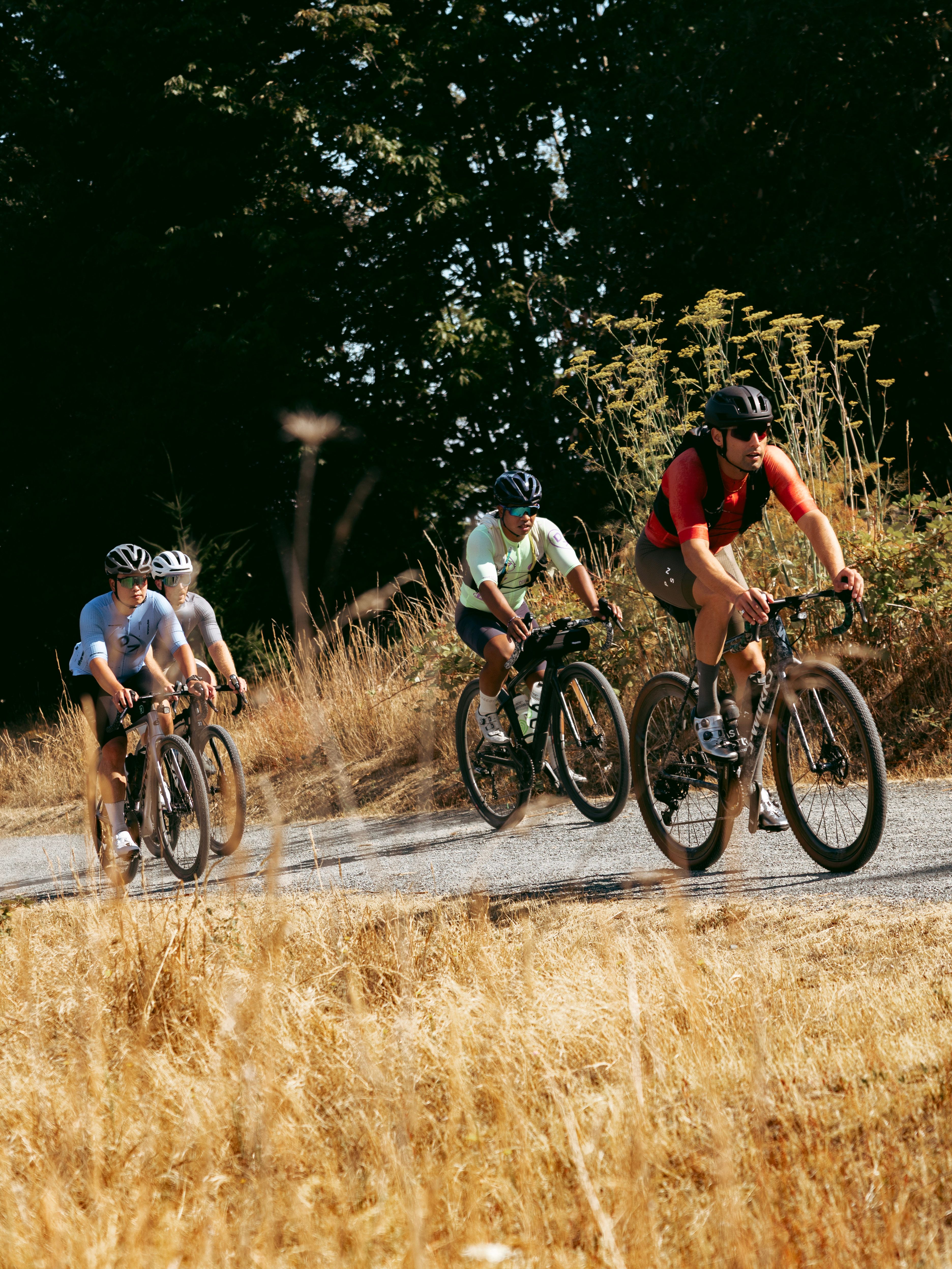 Cyclists riding on gravel in front of wheat