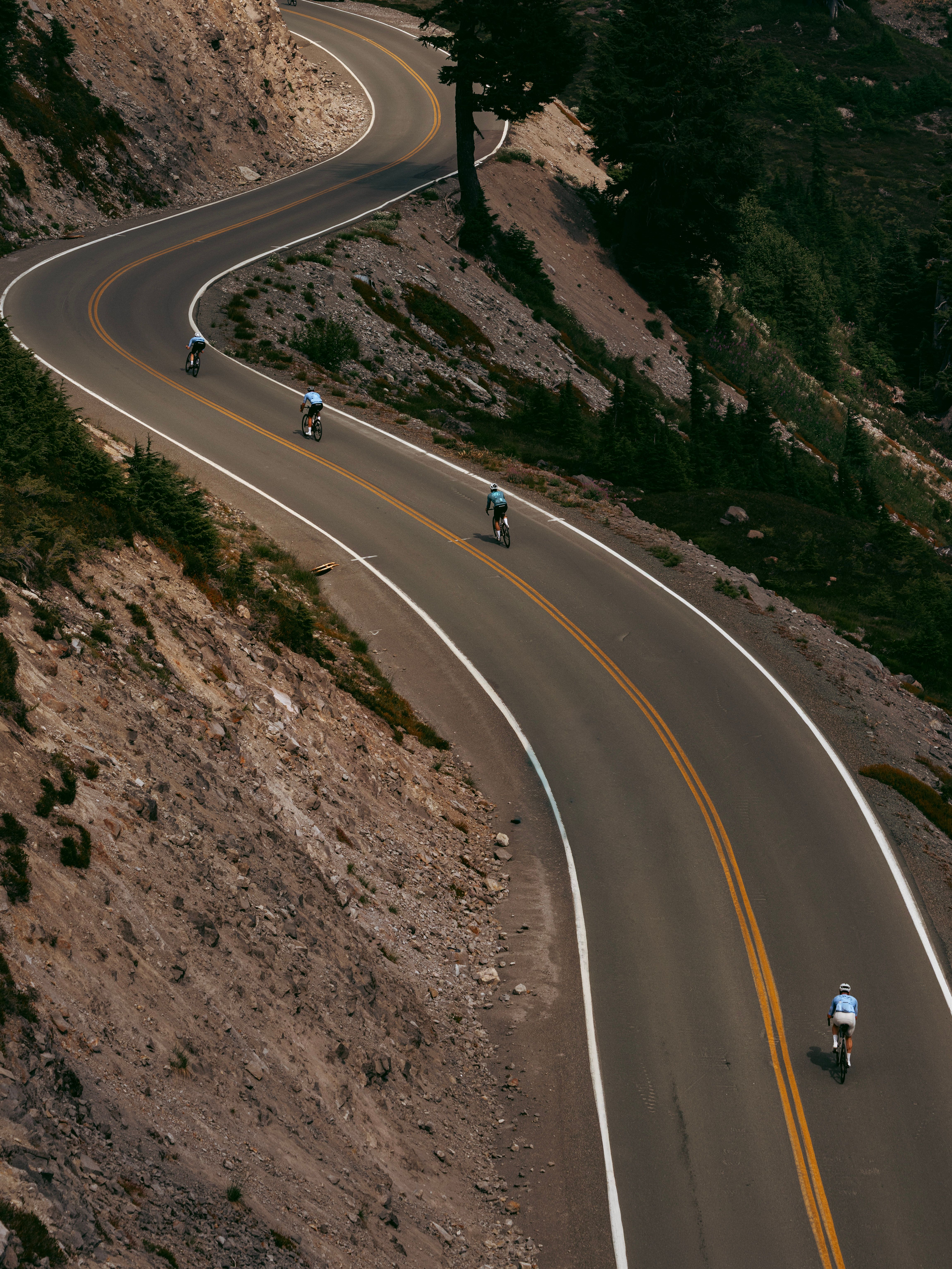 Cyclists riding int the alpine of Mt. Baker