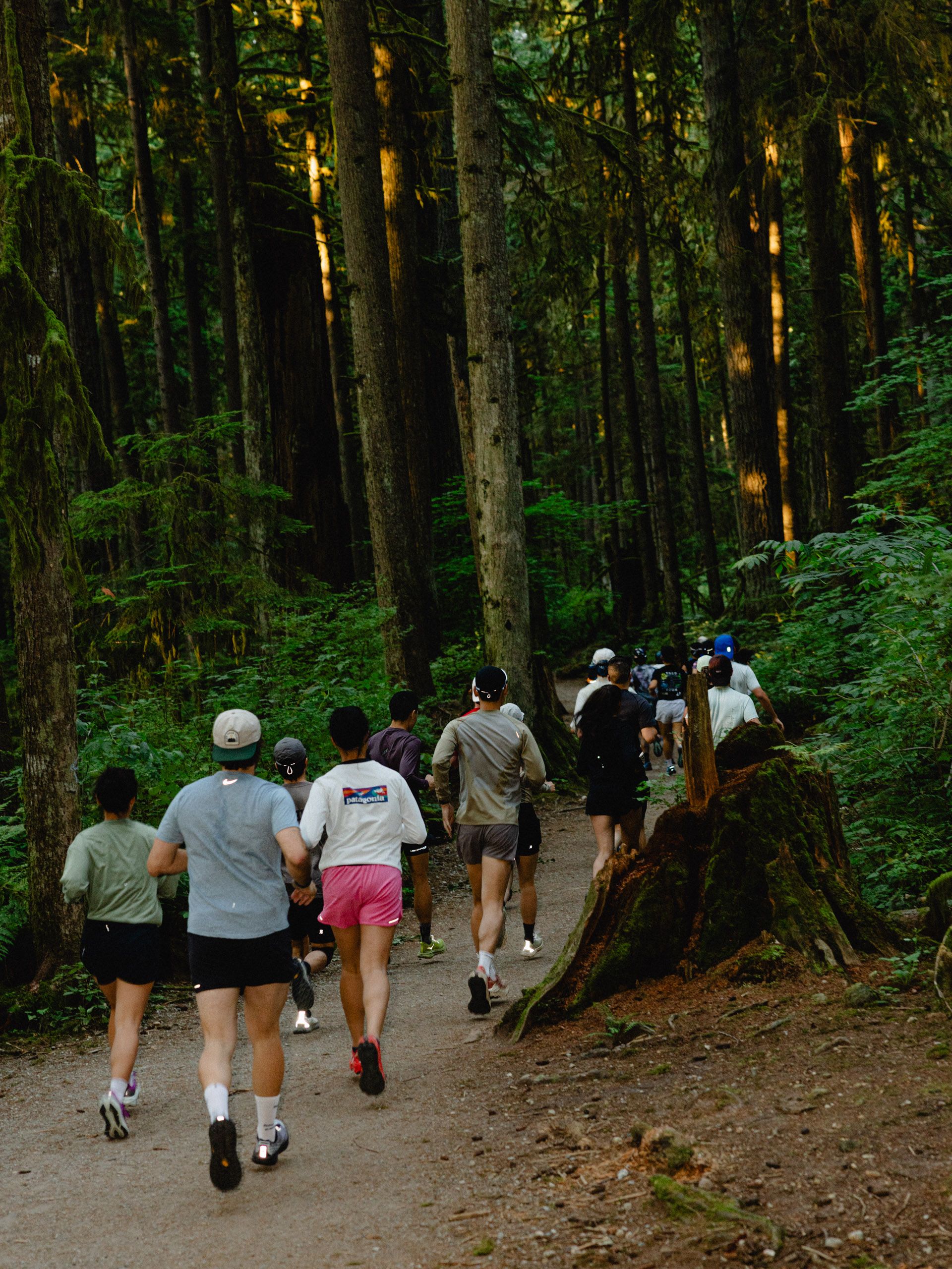 Forest trail running - group