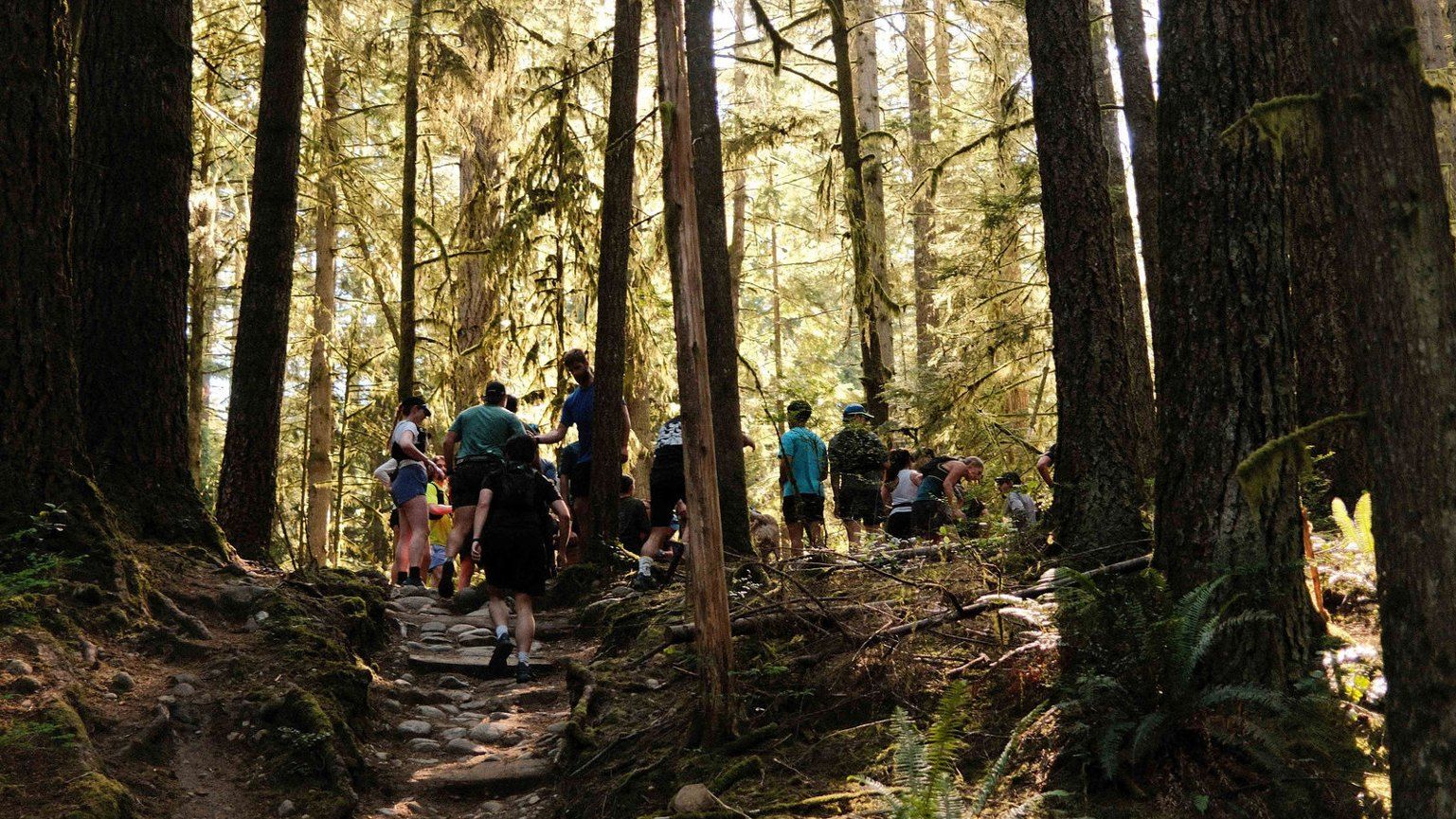 Group trail run through old-growth forest in Arc'teryx
