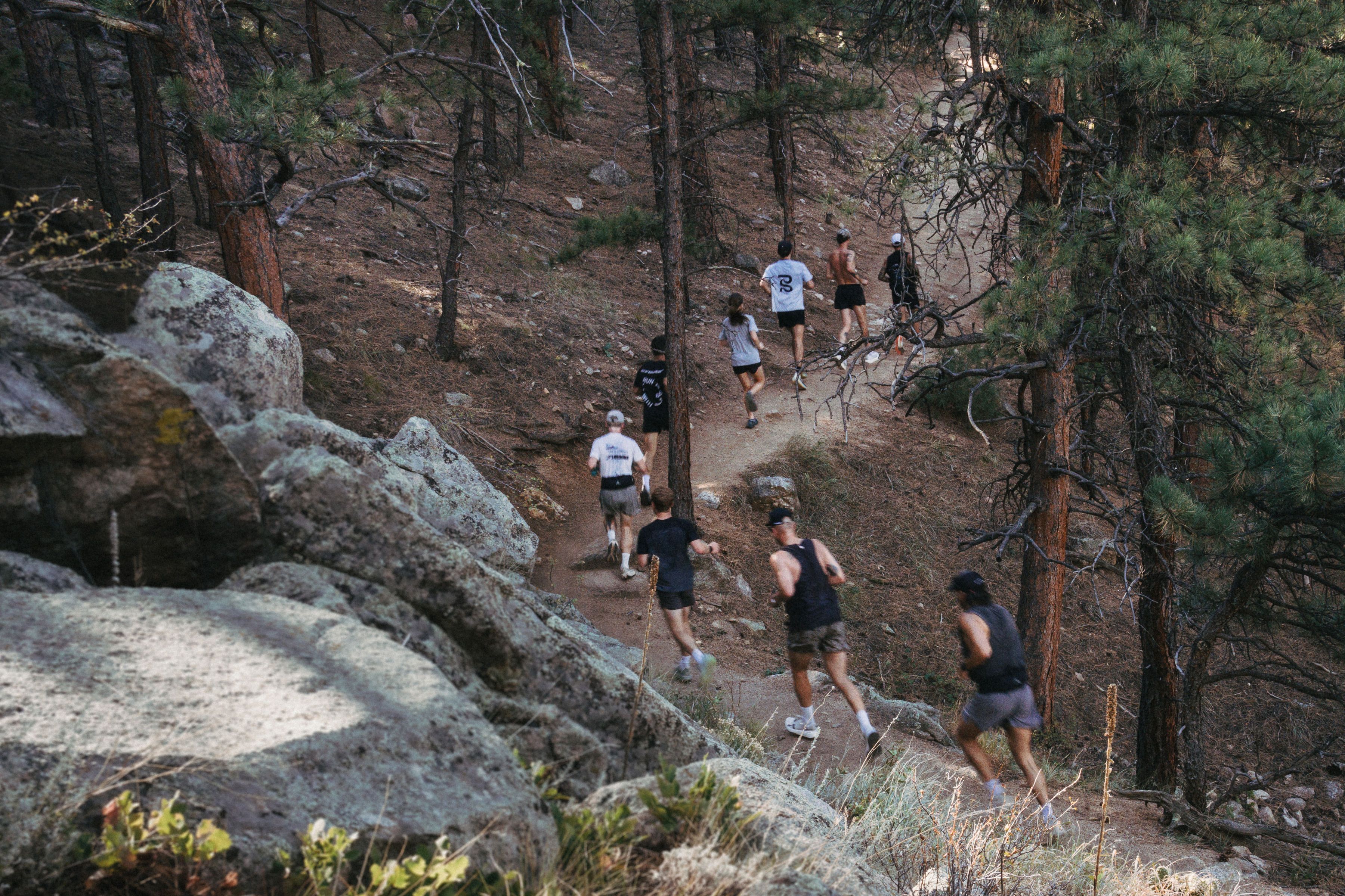 Trail runners climbing a rocky forest path