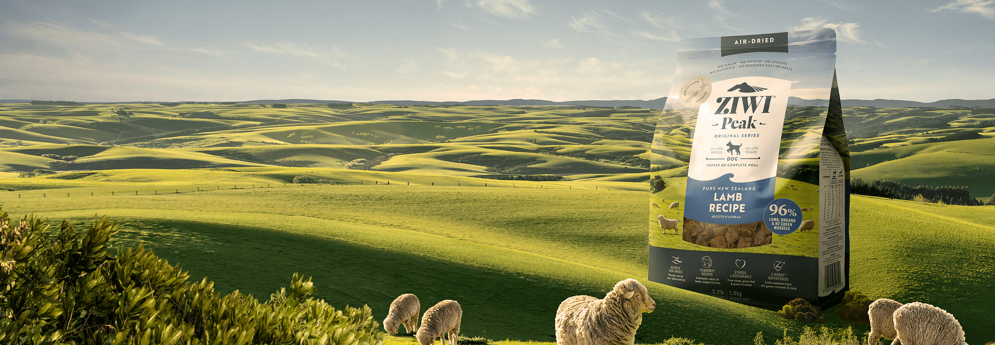 Air-dried recipes for dogs banner