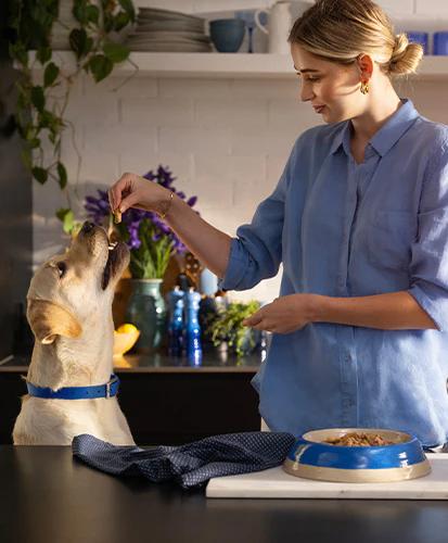 a woman is feeding her dog a treat in the kitchen .