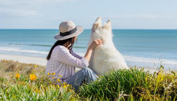 What's the best dog food for allergies?