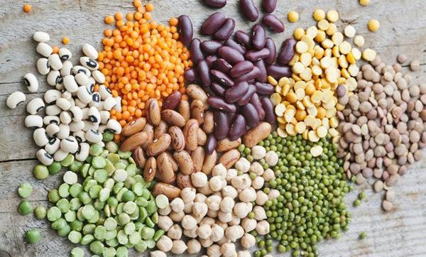 Can dogs eat beans? Types, benefits, and serving tips Can dogs eat beans? Types, benefits, and serving tips