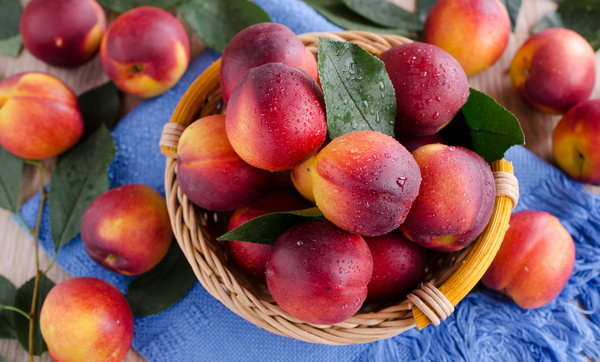 Fresh nectarine arranged as a dog-friendly stone fruit treat Fresh nectarine arranged as a dog-friendly stone fruit treat